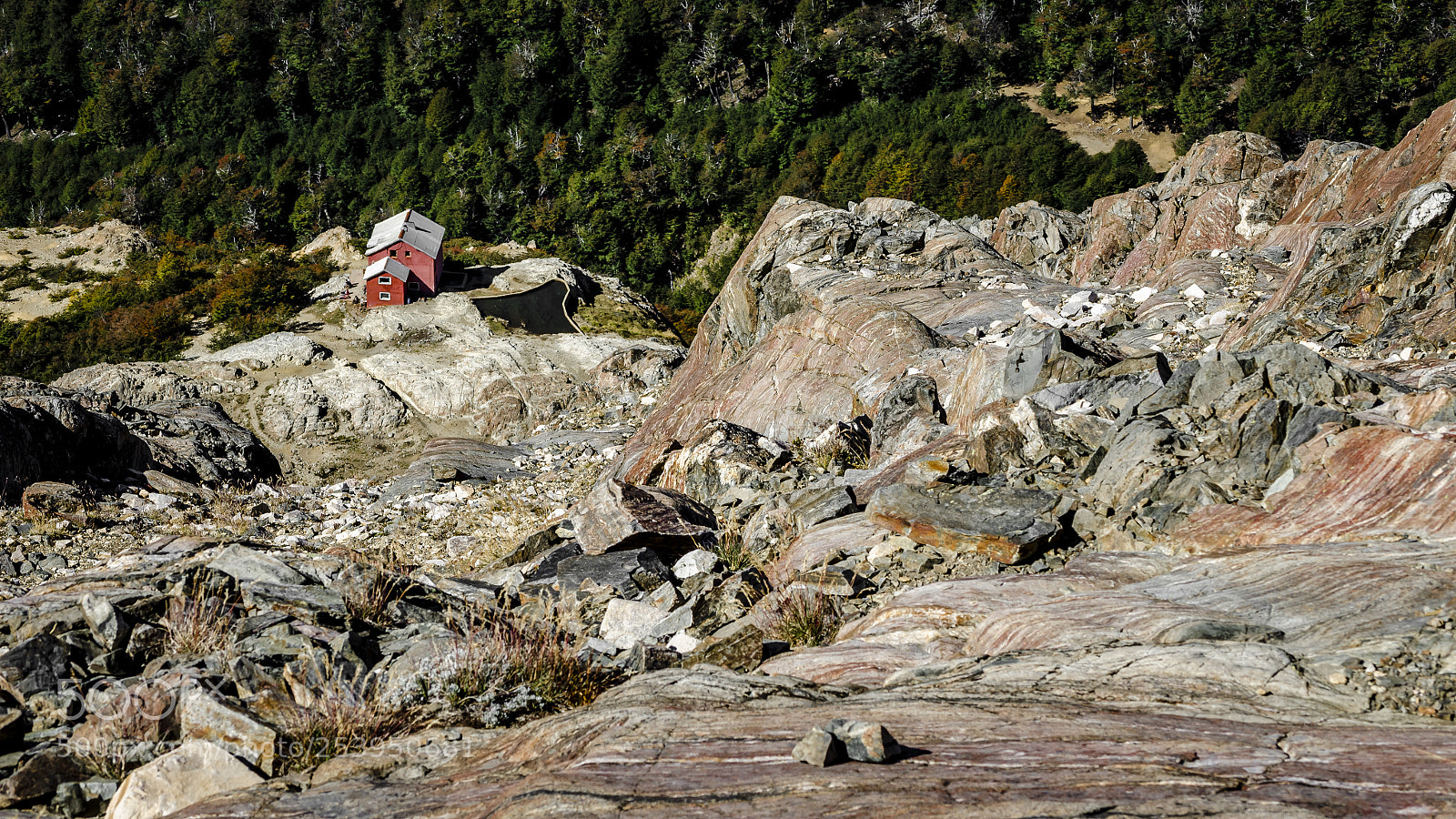 Nikon D5100 sample photo. Top to base photography