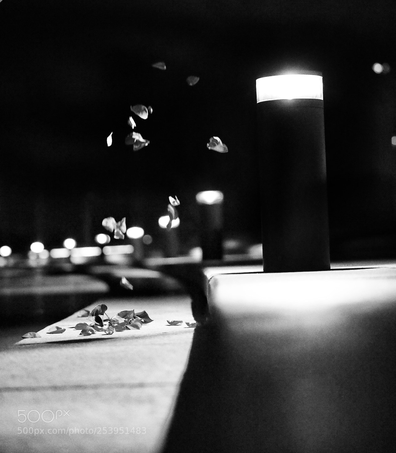 Canon EOS 5D Mark IV sample photo. Untitled photography