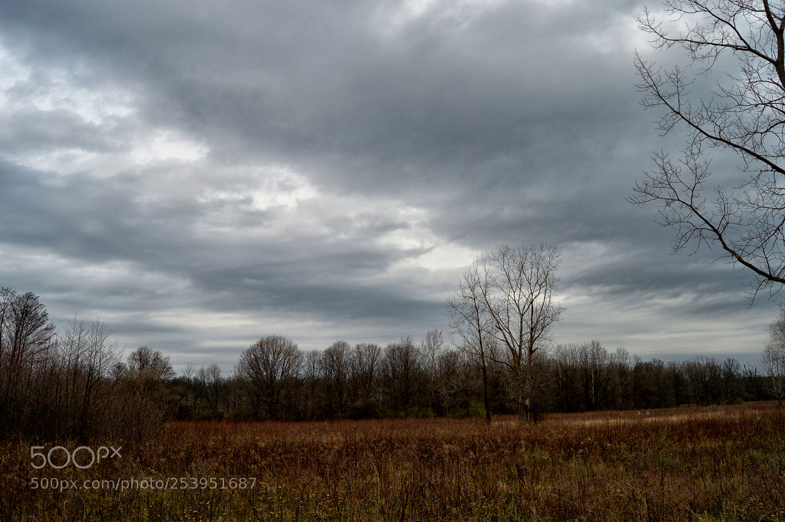 Nikon D3200 sample photo. Clouds field photography