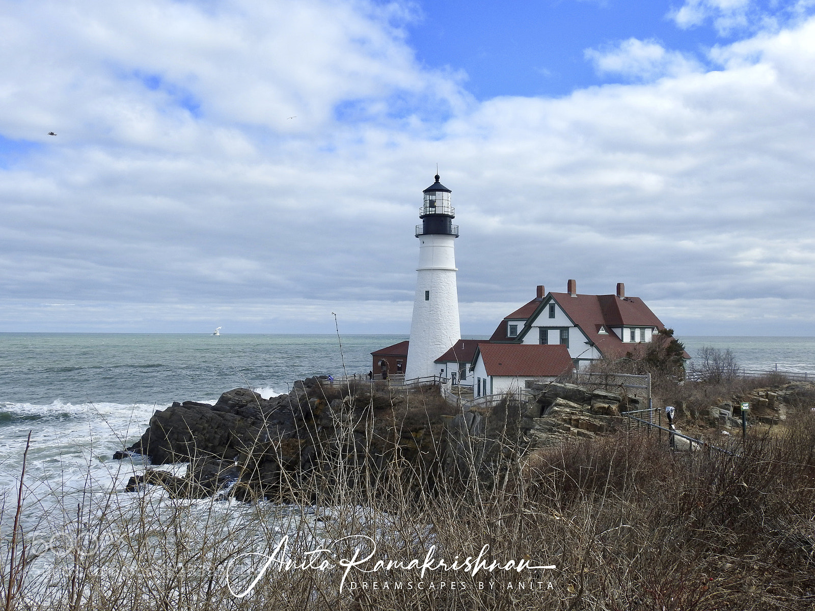 Nikon Coolpix P900 sample photo. Portland light photography