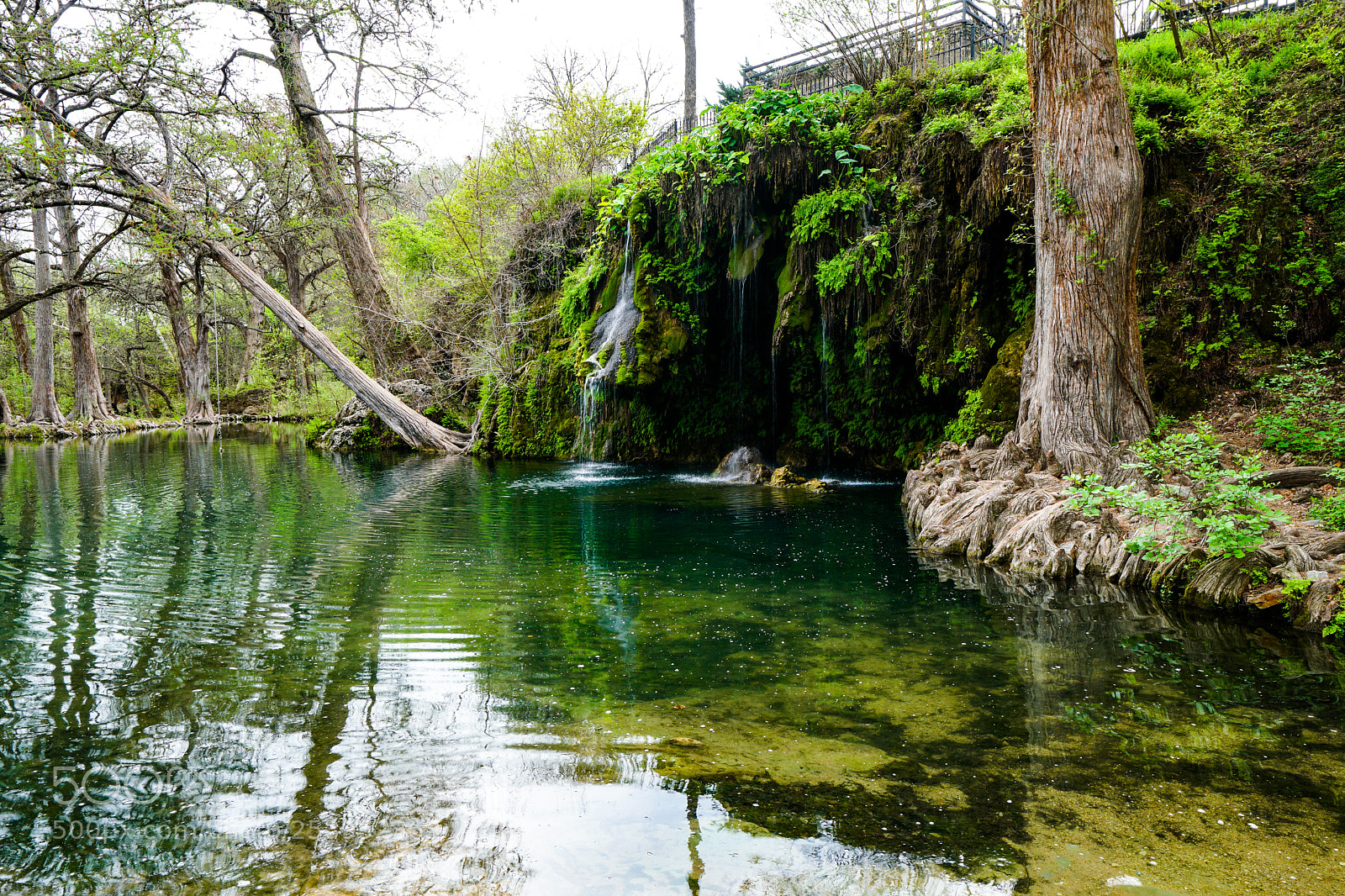 Sony a6500 sample photo. Krause springs photography