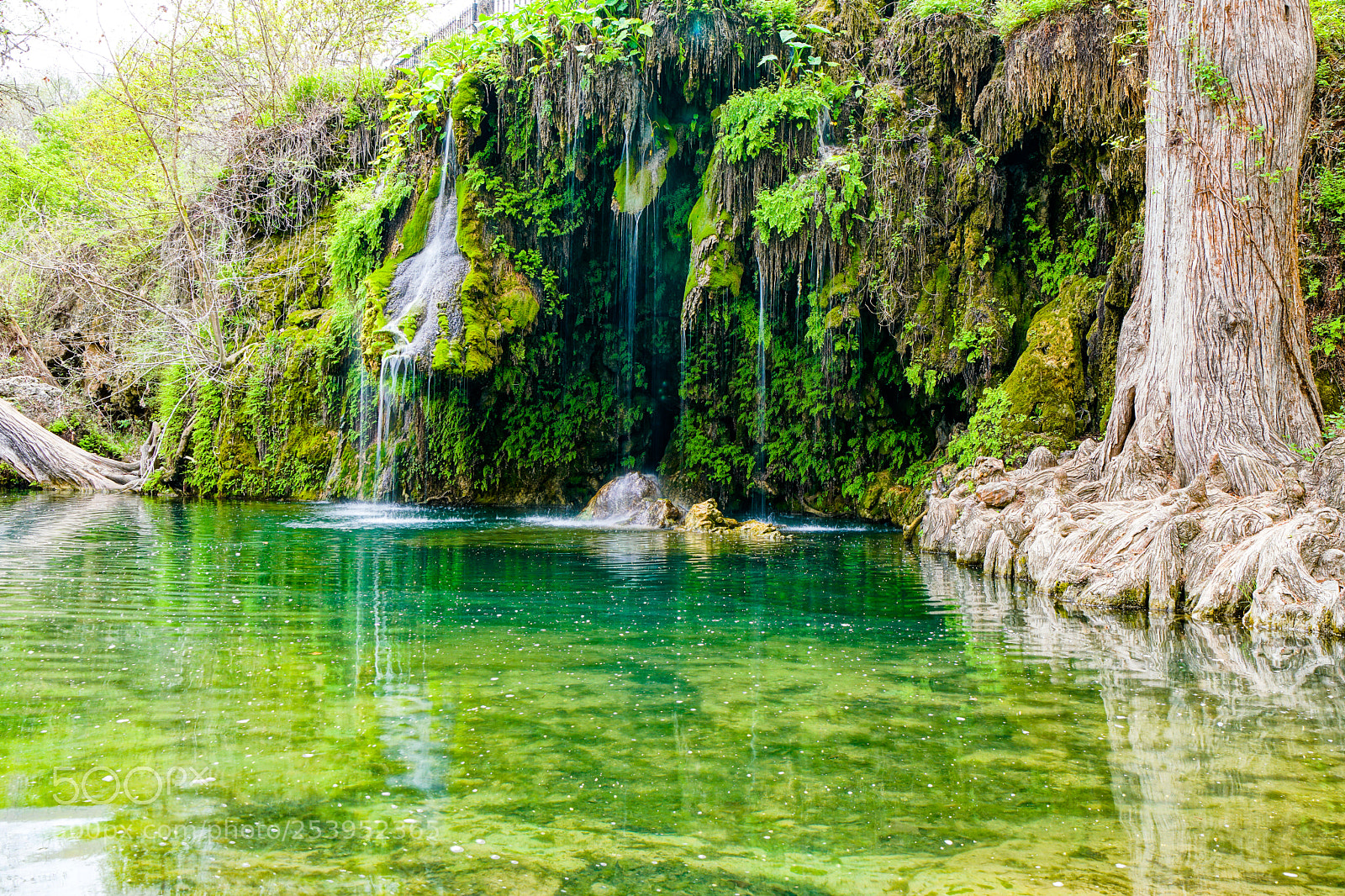 Sony a6500 sample photo. Krause springs photography