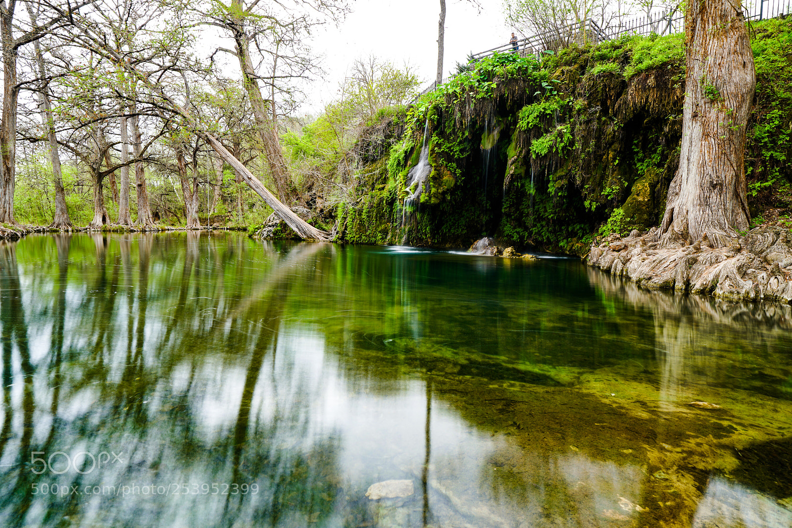 Sony a6500 sample photo. Krause springs photography