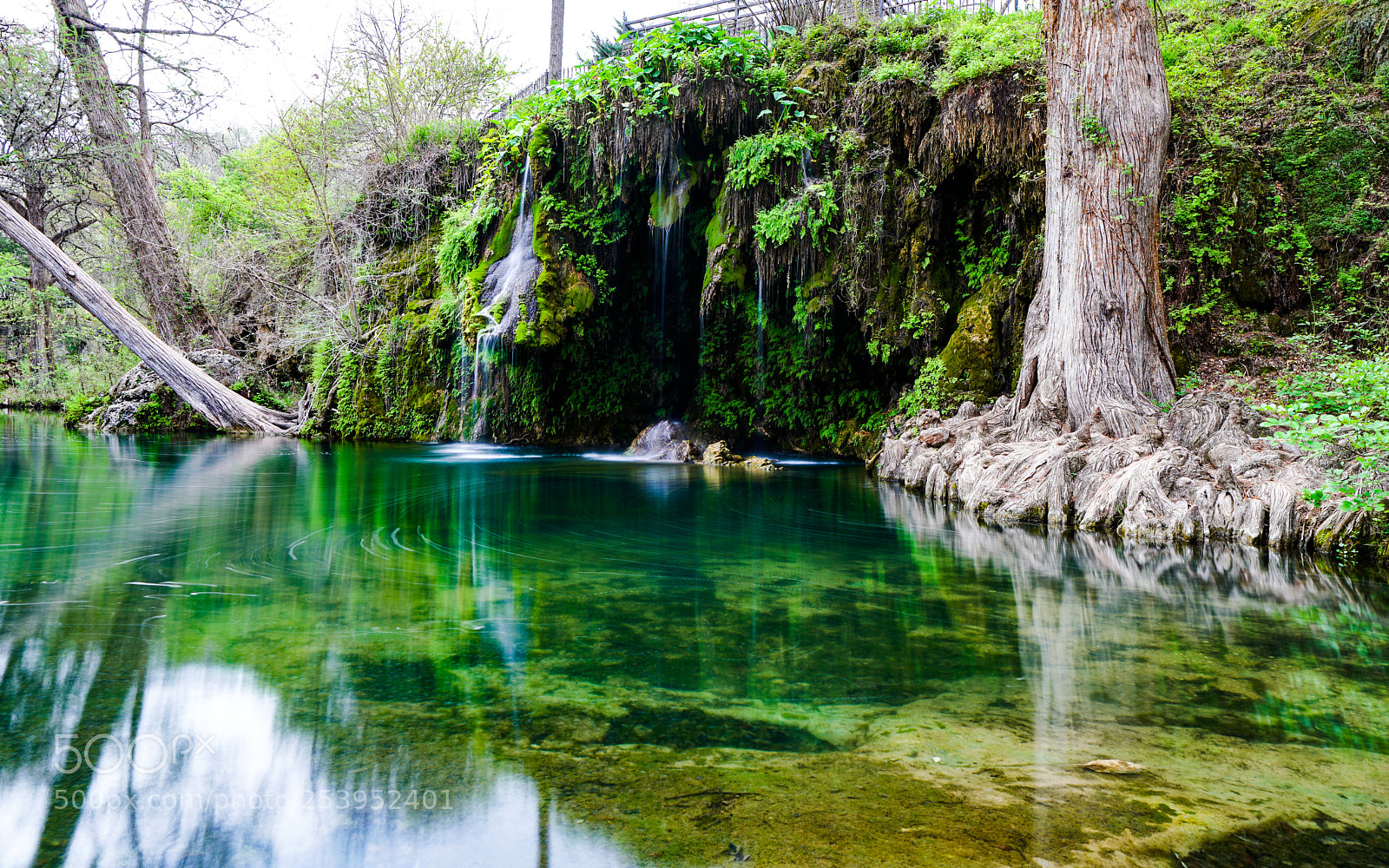 Sony a6500 sample photo. Krause springs photography