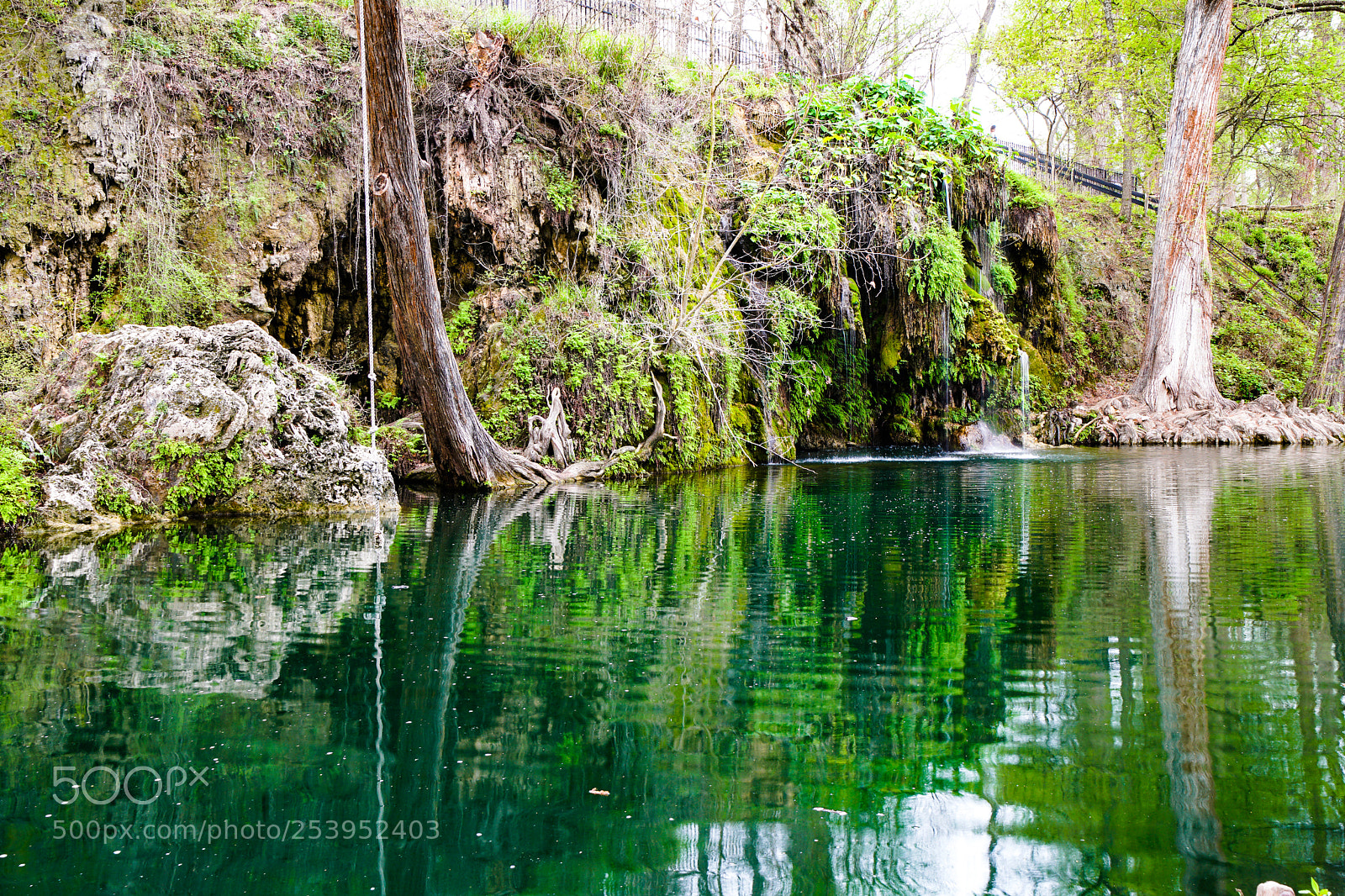 Sony a6500 sample photo. Krause springs photography