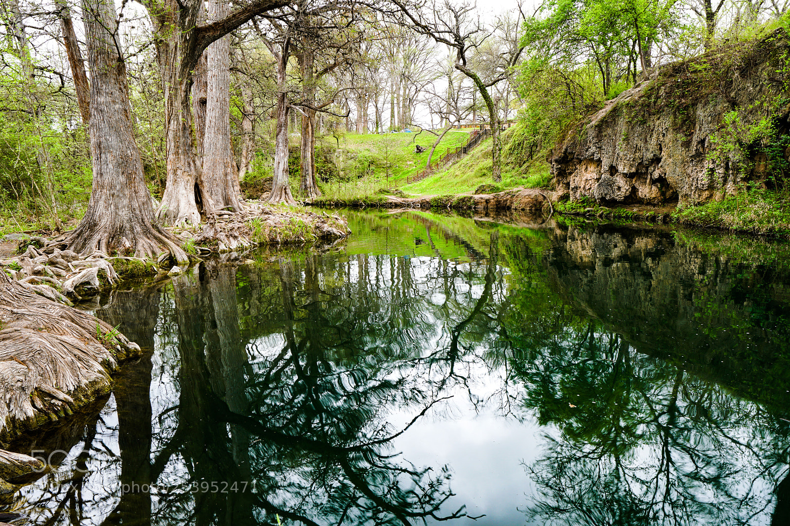 Sony a6500 sample photo. Krause springs photography