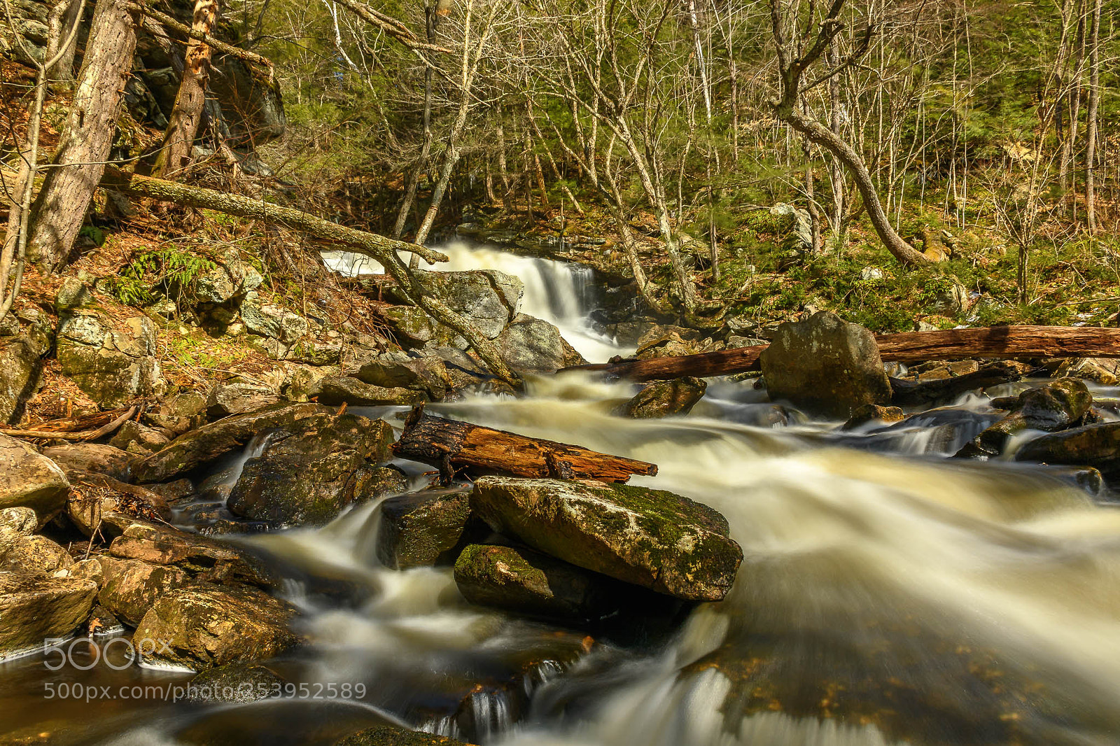 Nikon D7500 sample photo. App setting photography