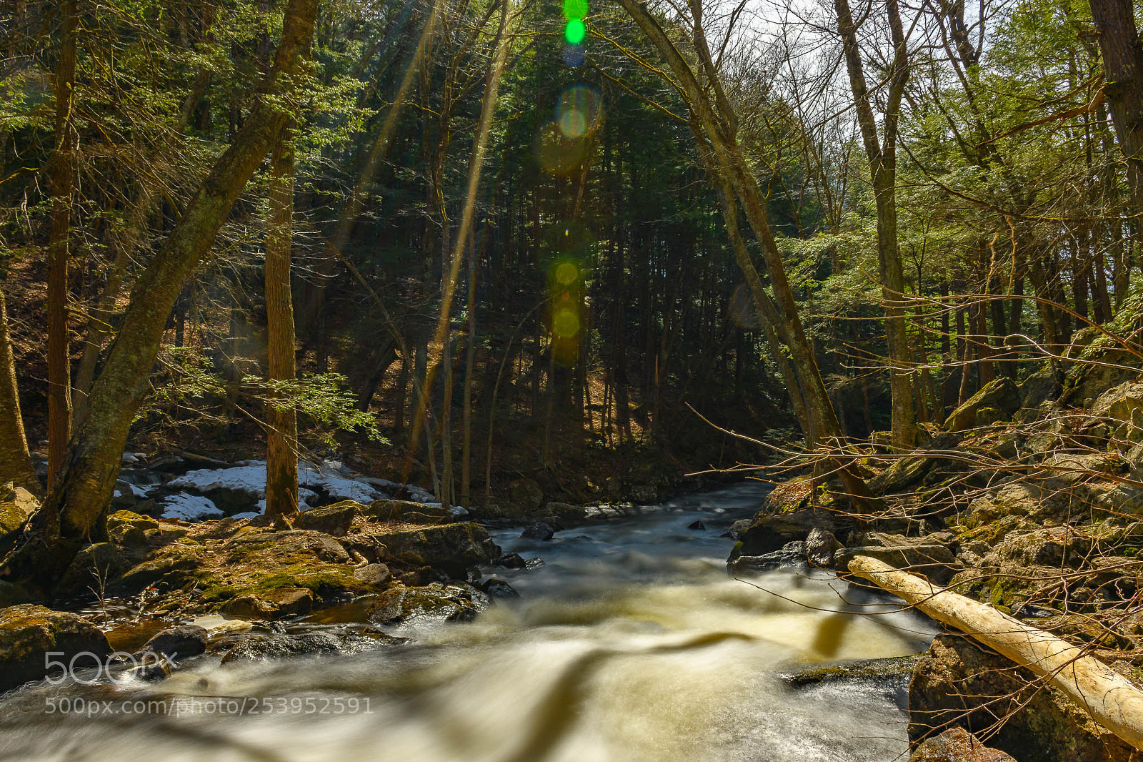 Nikon D7500 sample photo. App setting photography