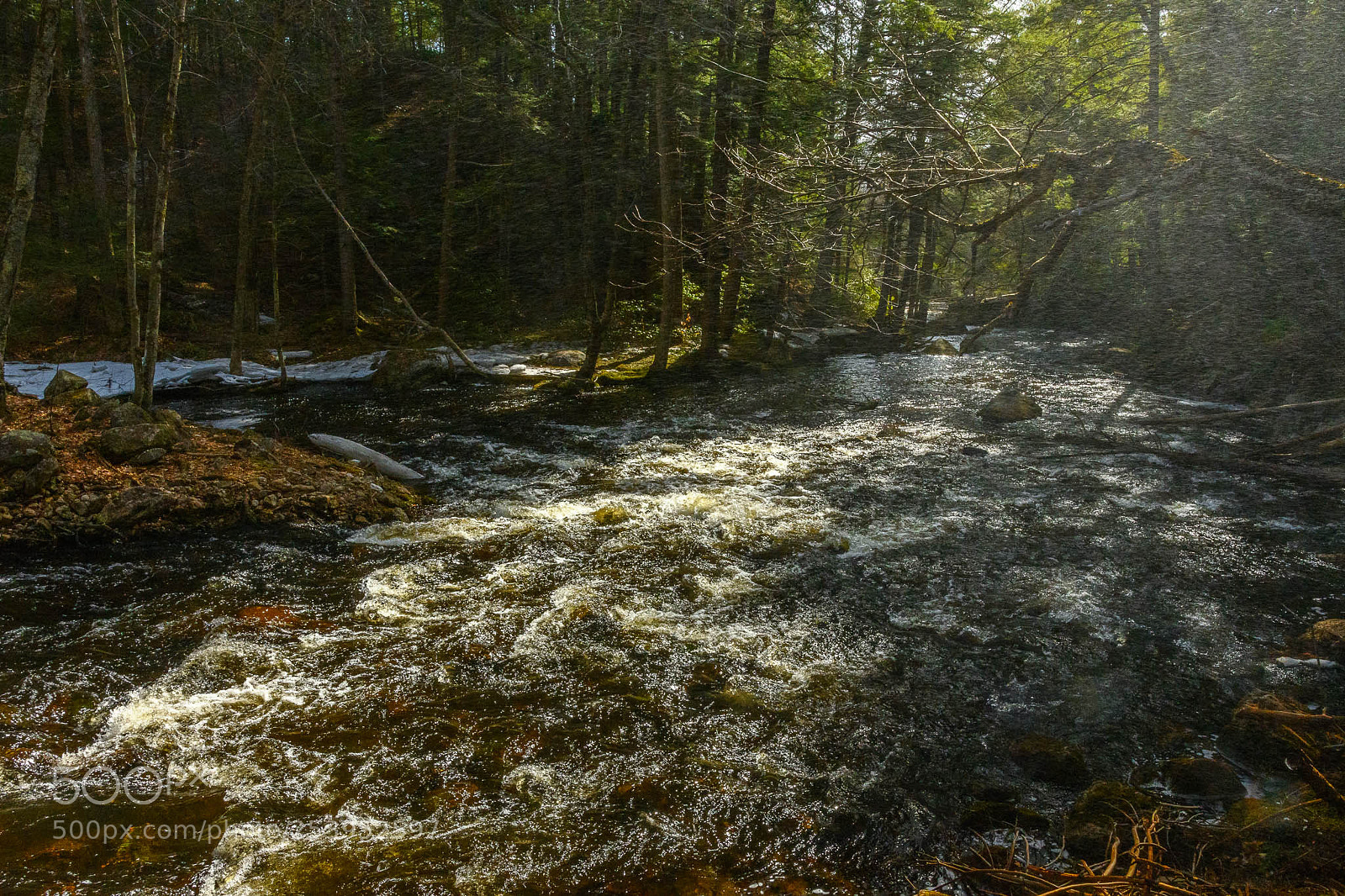 Nikon D7500 sample photo. App setting photography