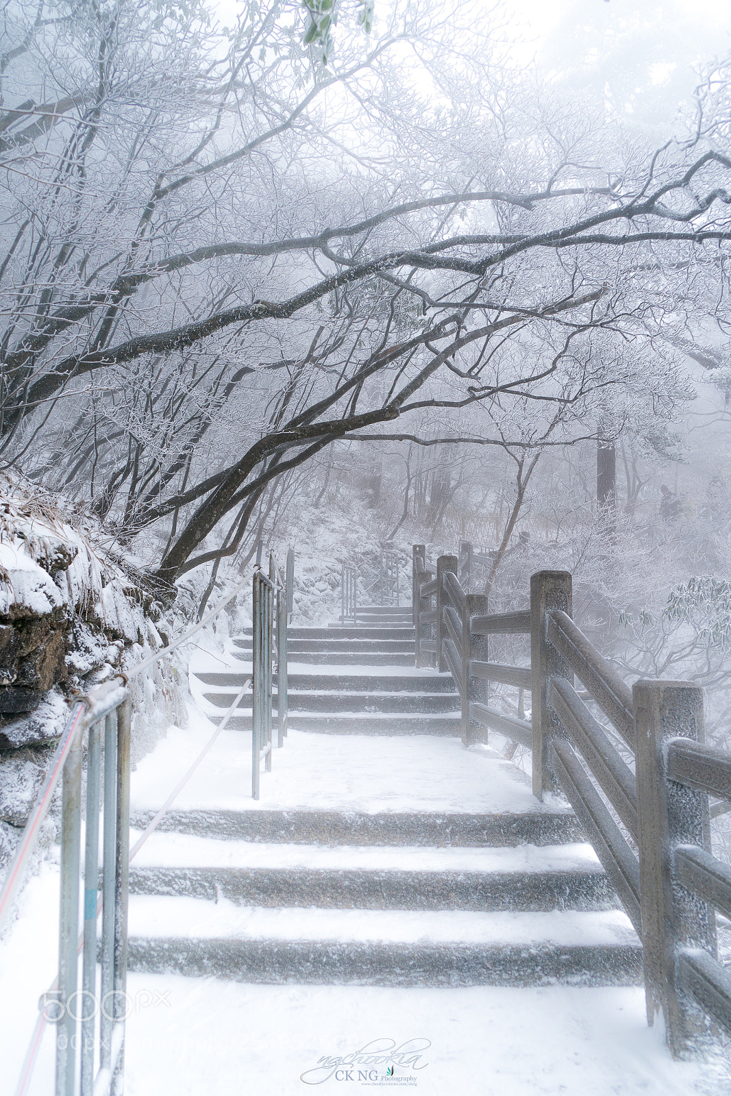 Sony a9 sample photo. Feel ii huangshan anhui photography