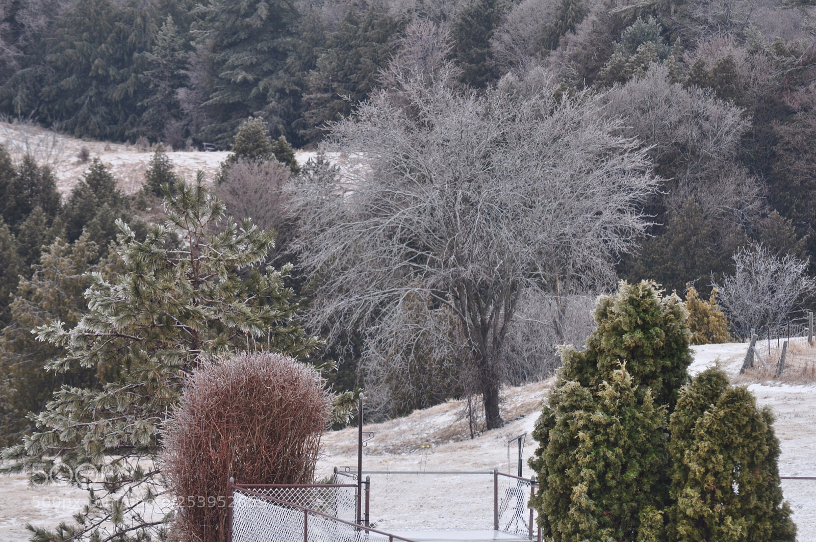 Nikon D5000 sample photo. Touch of winter photography