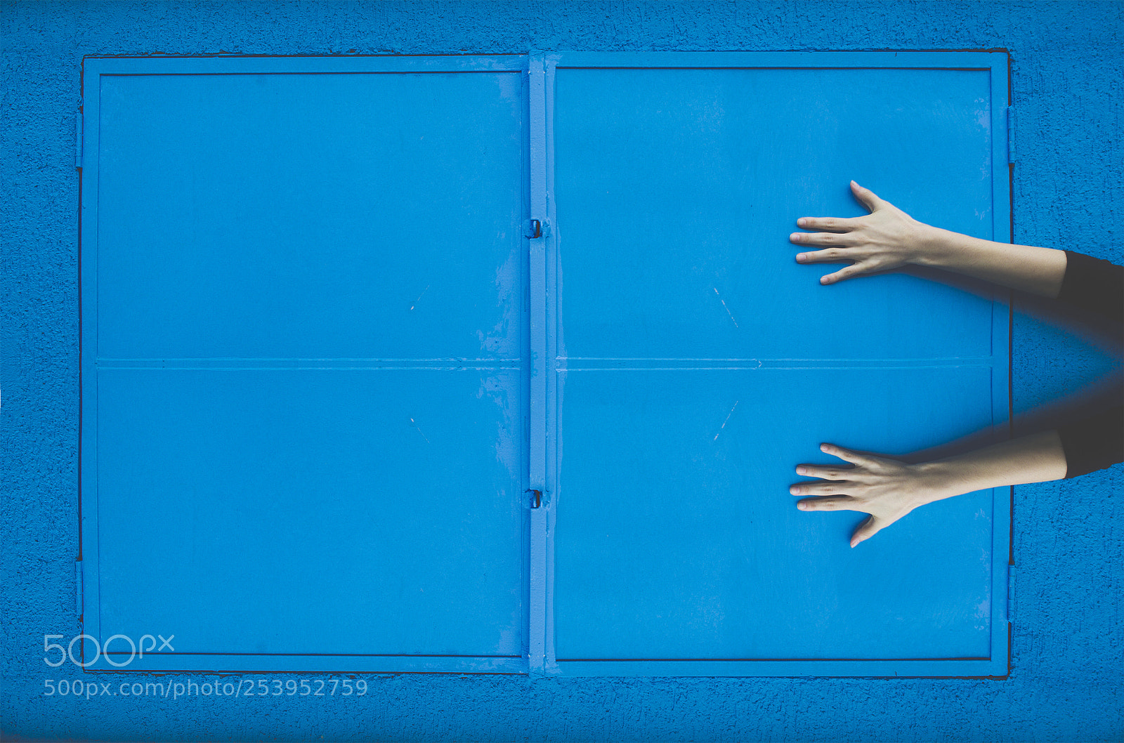 Nikon D610 sample photo. Blue moment photography