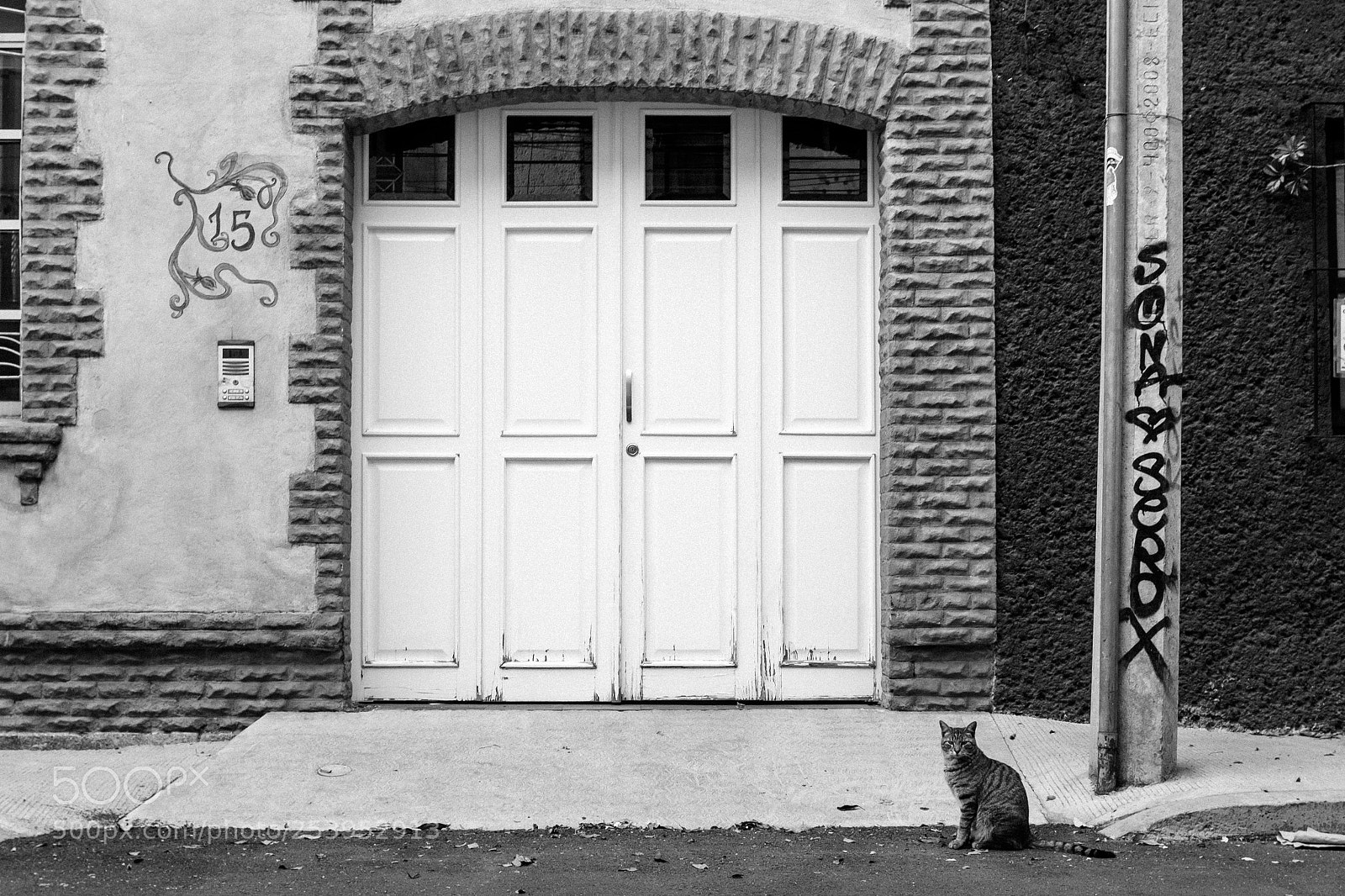 Fujifilm X100F sample photo. A cat i met photography