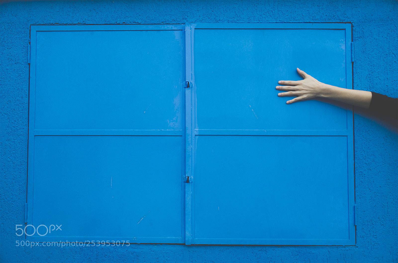 Nikon D610 sample photo. Blue moment photography