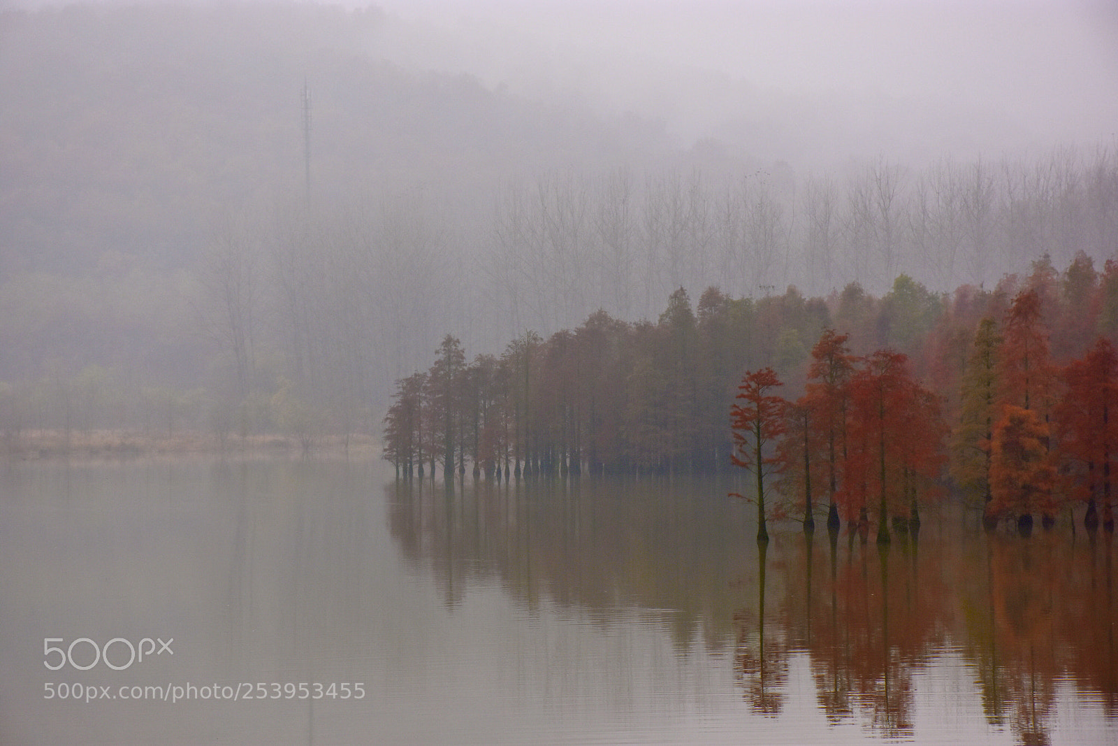 Nikon D7200 sample photo. Zhima mountain photography