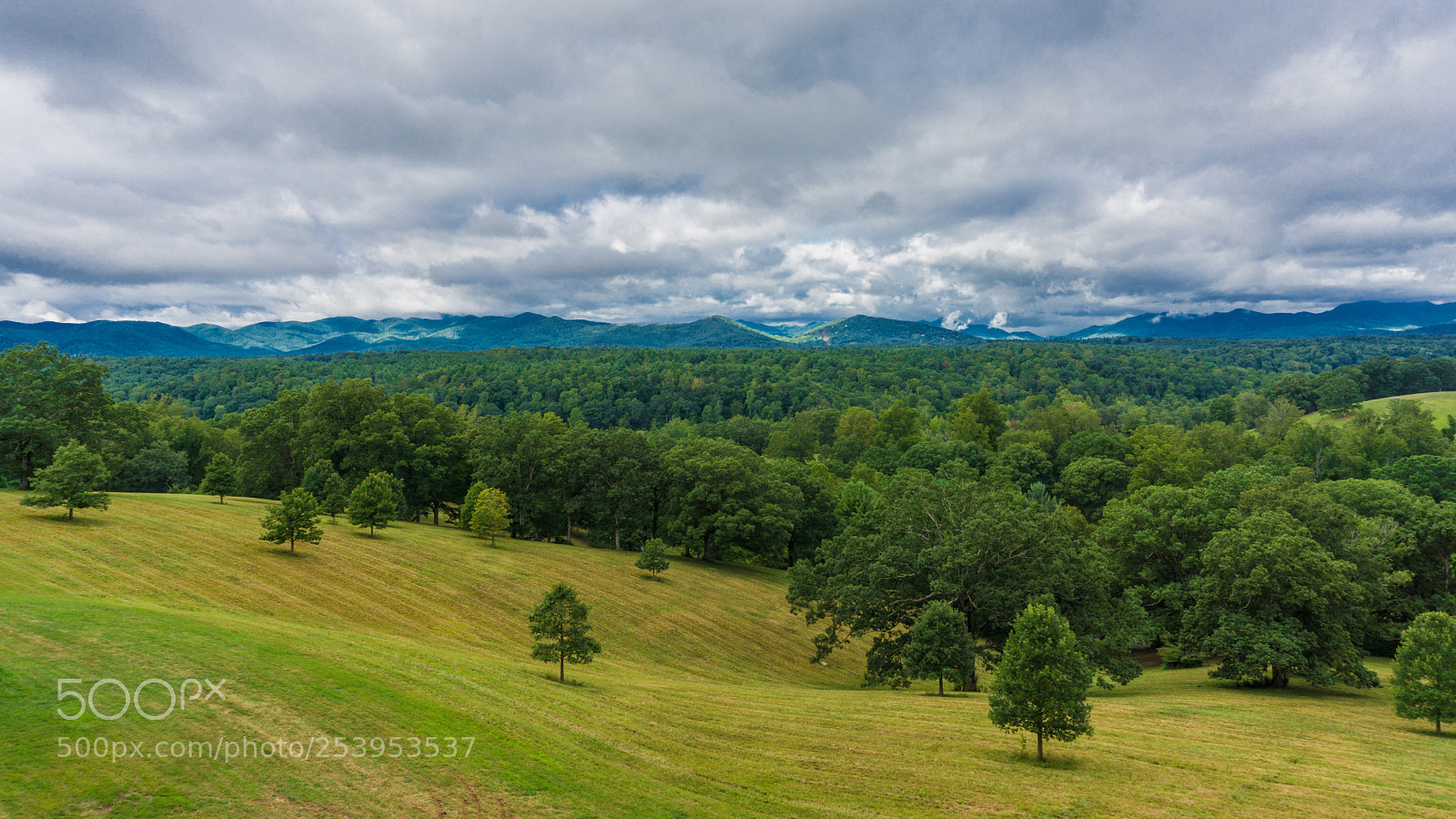 Sony a6000 sample photo. Biltmore photography