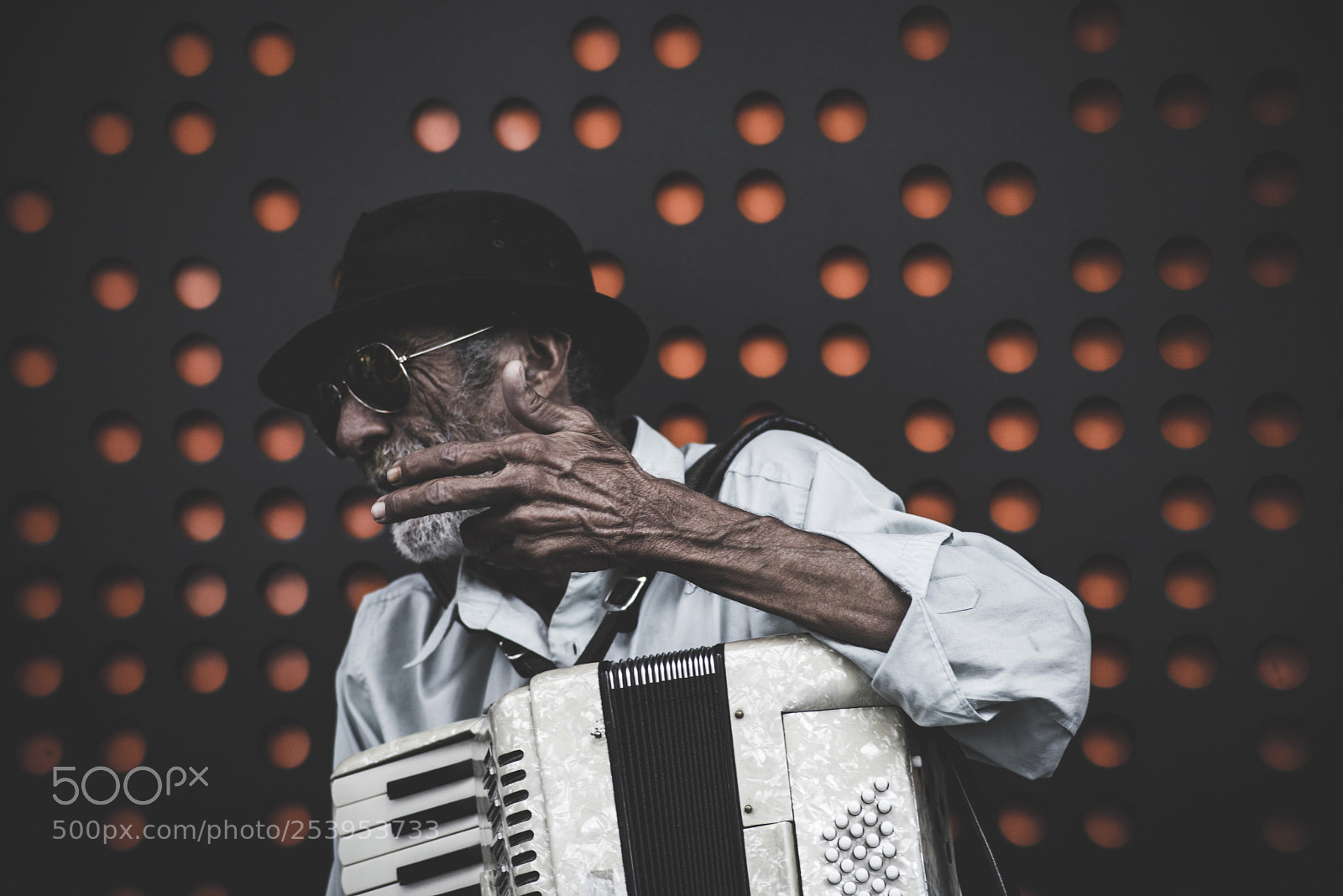Nikon D610 sample photo. O sanfoneiro photography