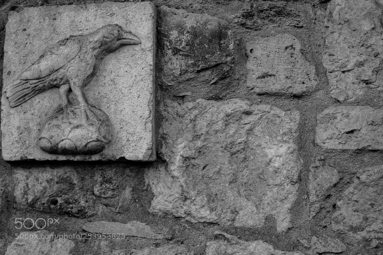 Canon EOS 70D sample photo. Untitled photography