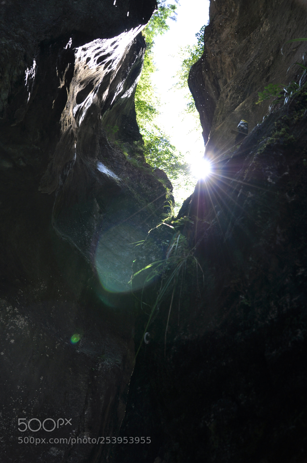 Nikon D90 sample photo. In need for sun photography