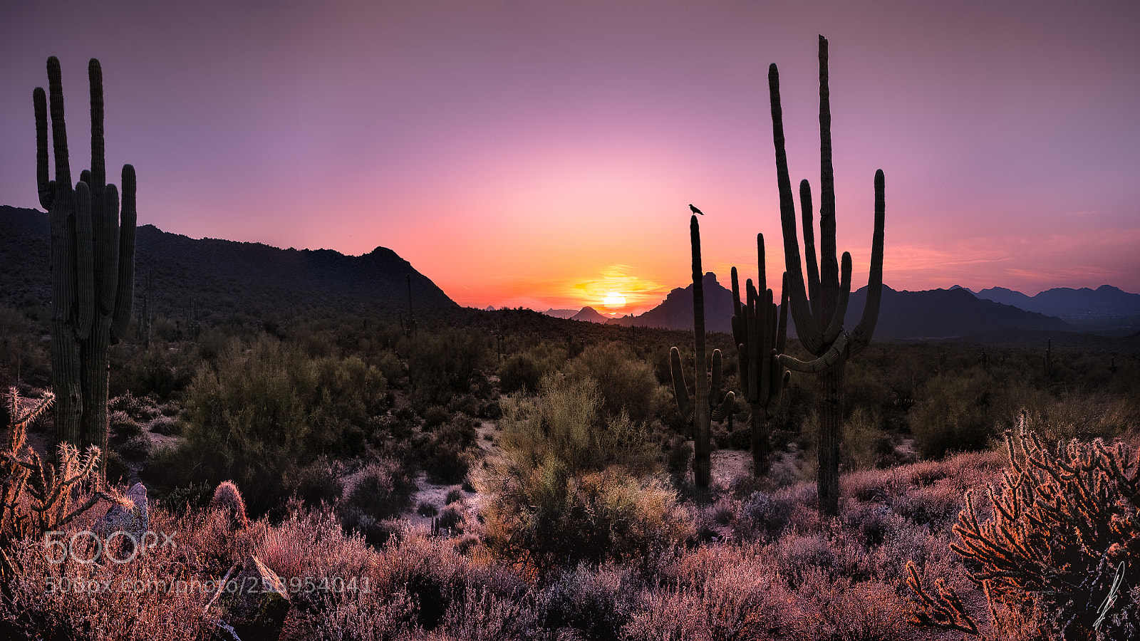 Canon EOS-1Ds Mark II sample photo. Sunset - tonto national photography