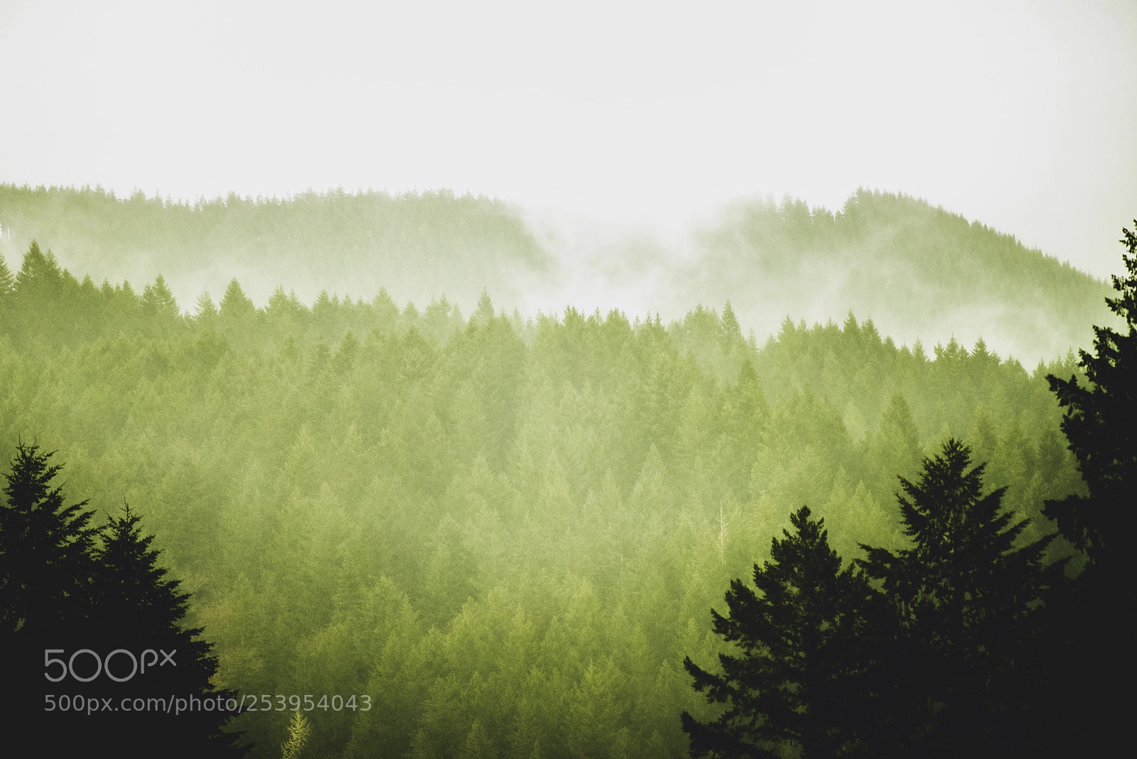 Nikon D810 sample photo. Oregon photography