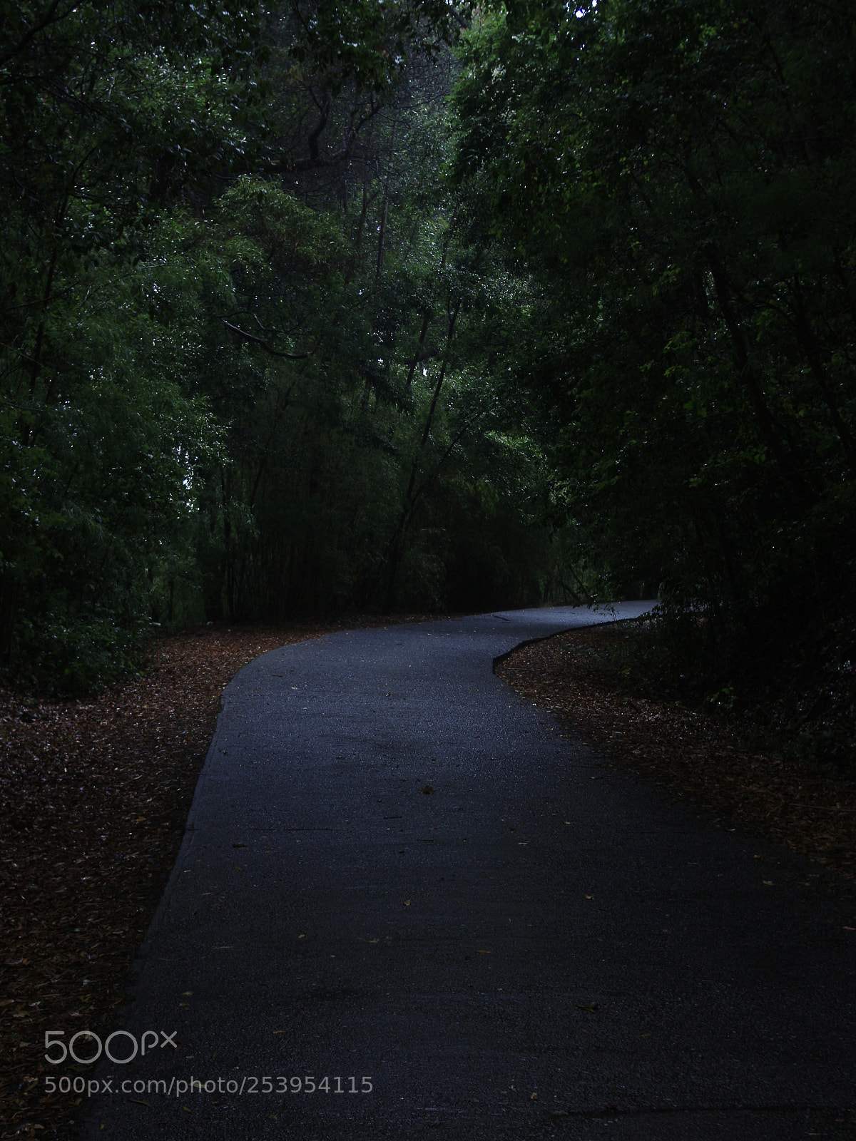 Canon EOS 700D (EOS Rebel T5i / EOS Kiss X7i) sample photo. Untitled photography