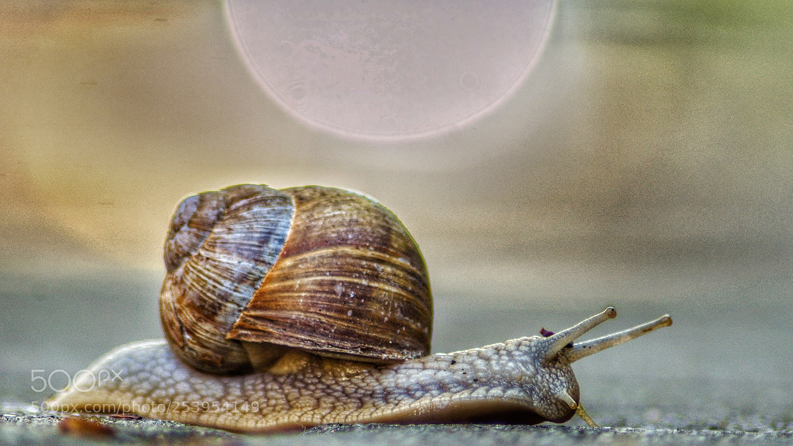 Nikon D5000 sample photo. Untitled photography