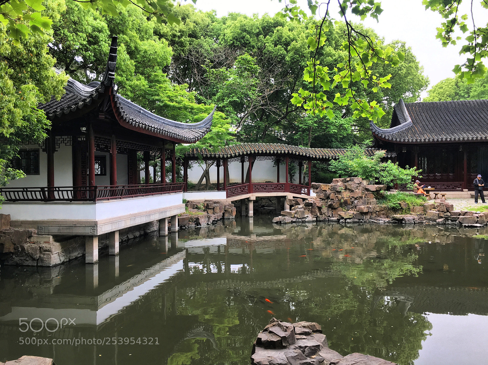 Apple iPhone 6s sample photo. Suzhou zhuozheng park, suzhou photography