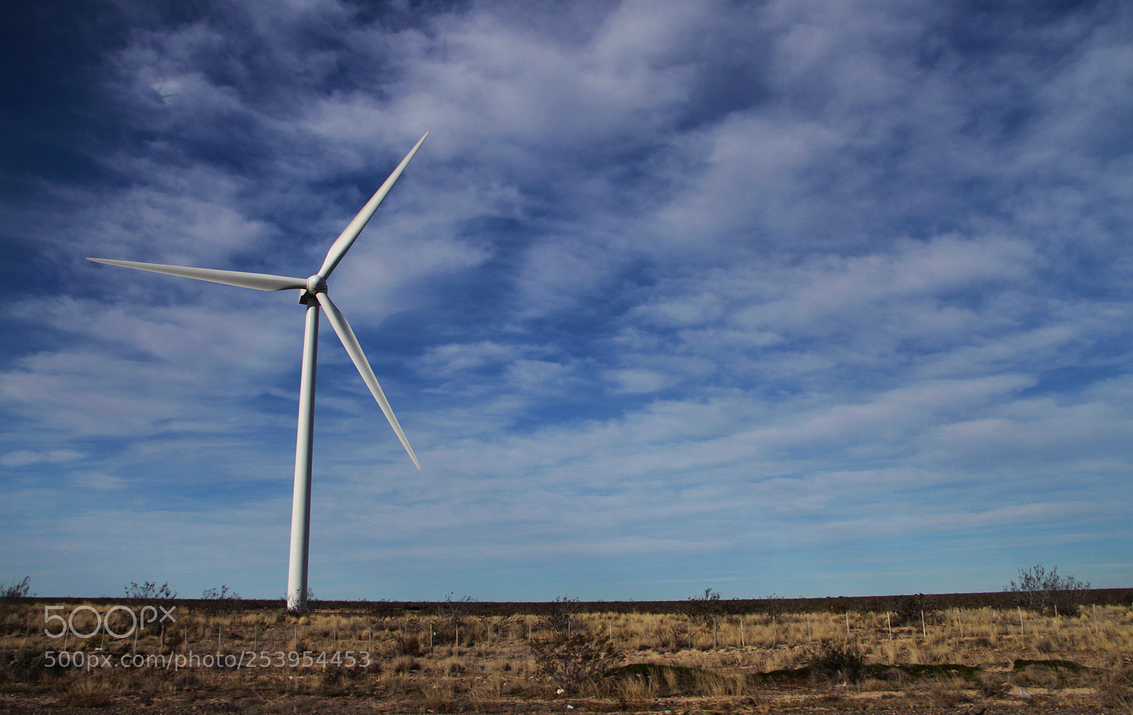 Canon EOS 7D sample photo. Wind photography