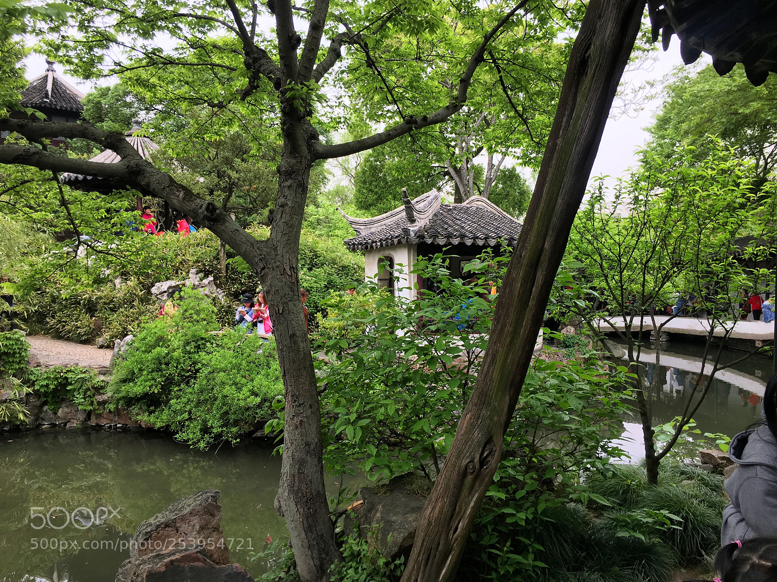 Apple iPhone 6s sample photo. Suzhou zhuozheng park, suzhou photography