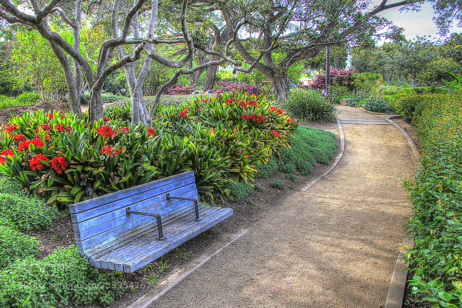 Canon EOS 5D Mark II sample photo. Walk in the park photography