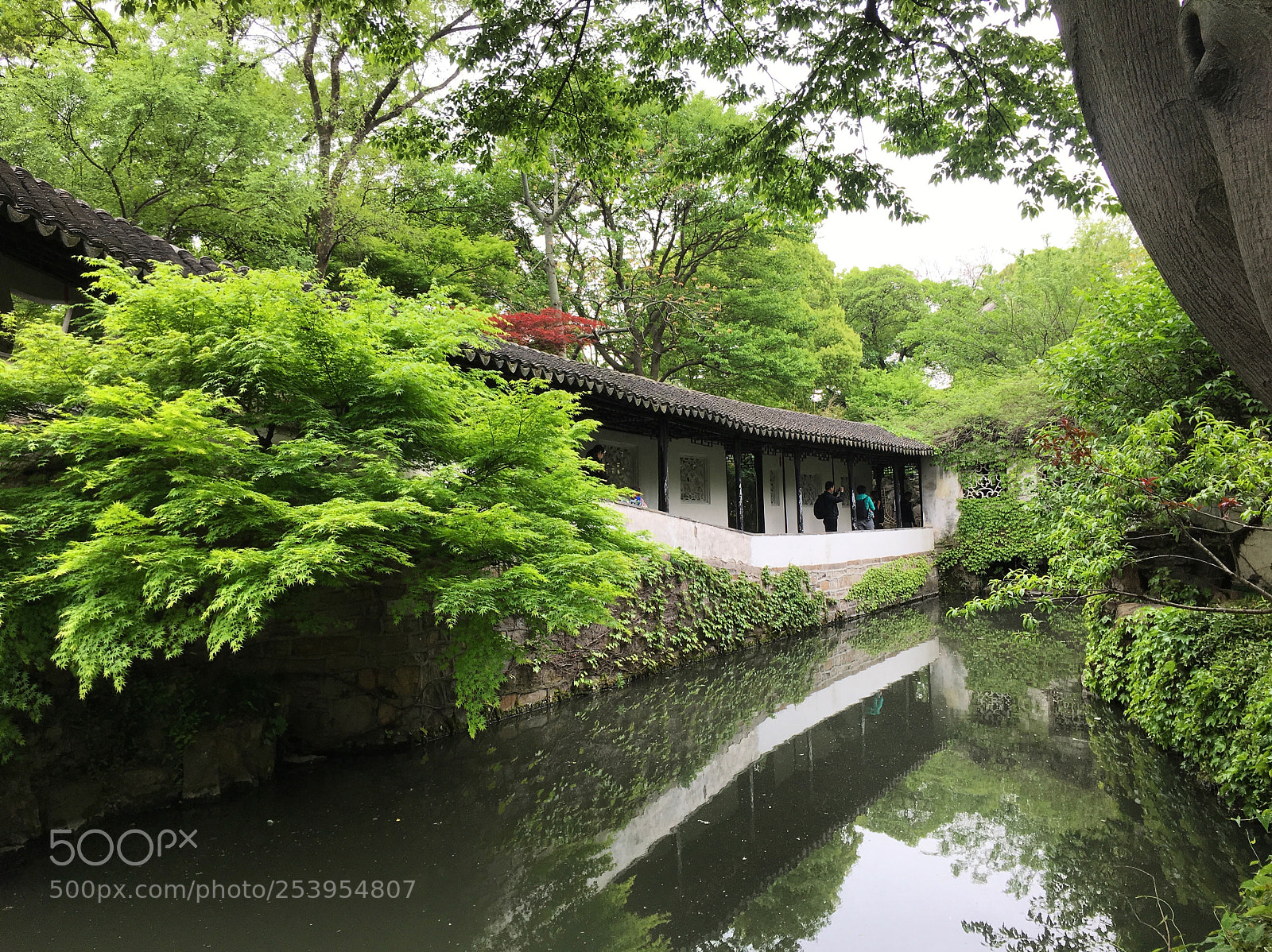 Apple iPhone 6s sample photo. Suzhou zhuozheng park, suzhou photography