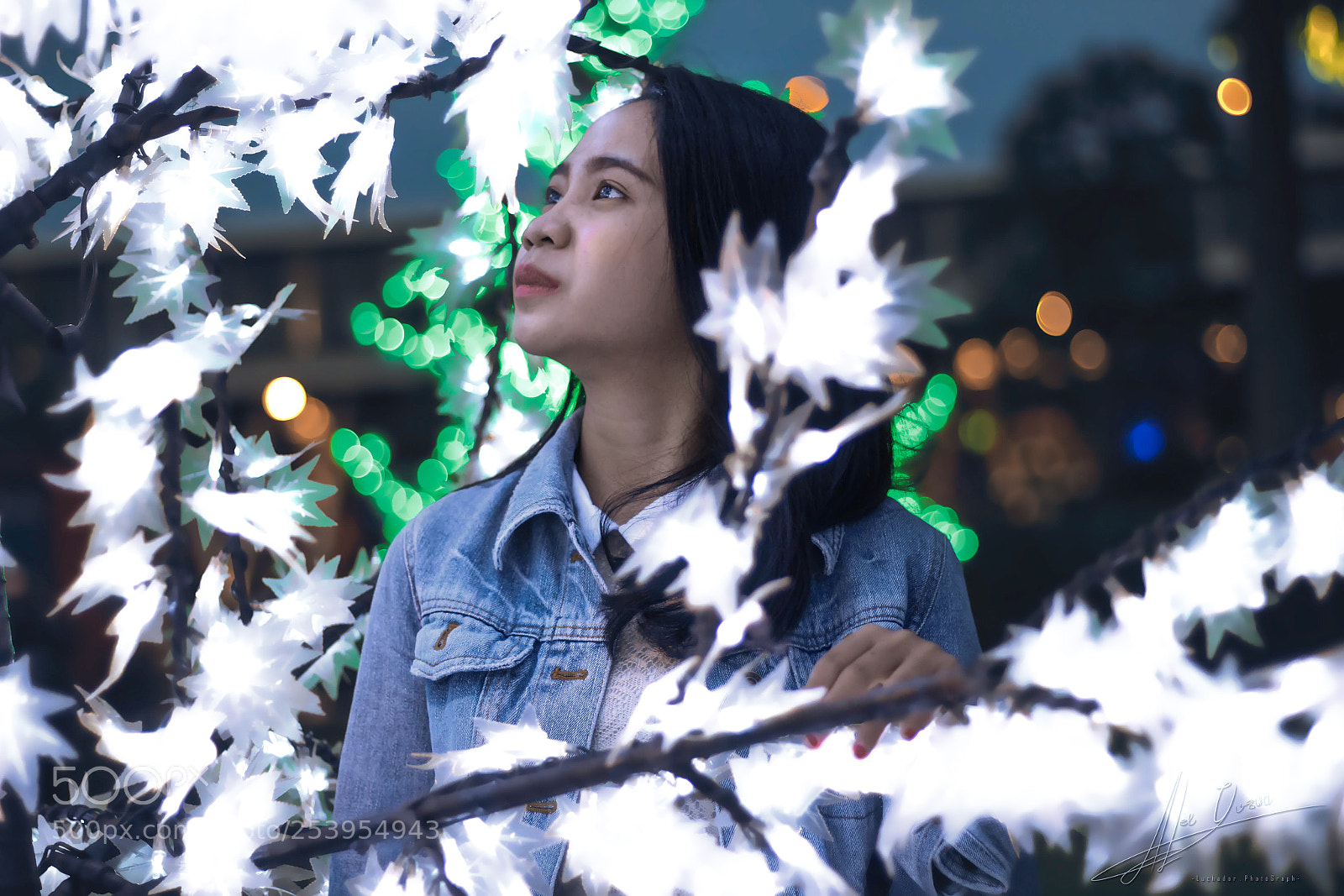 Canon EOS 60D sample photo. Glowing leaves photography