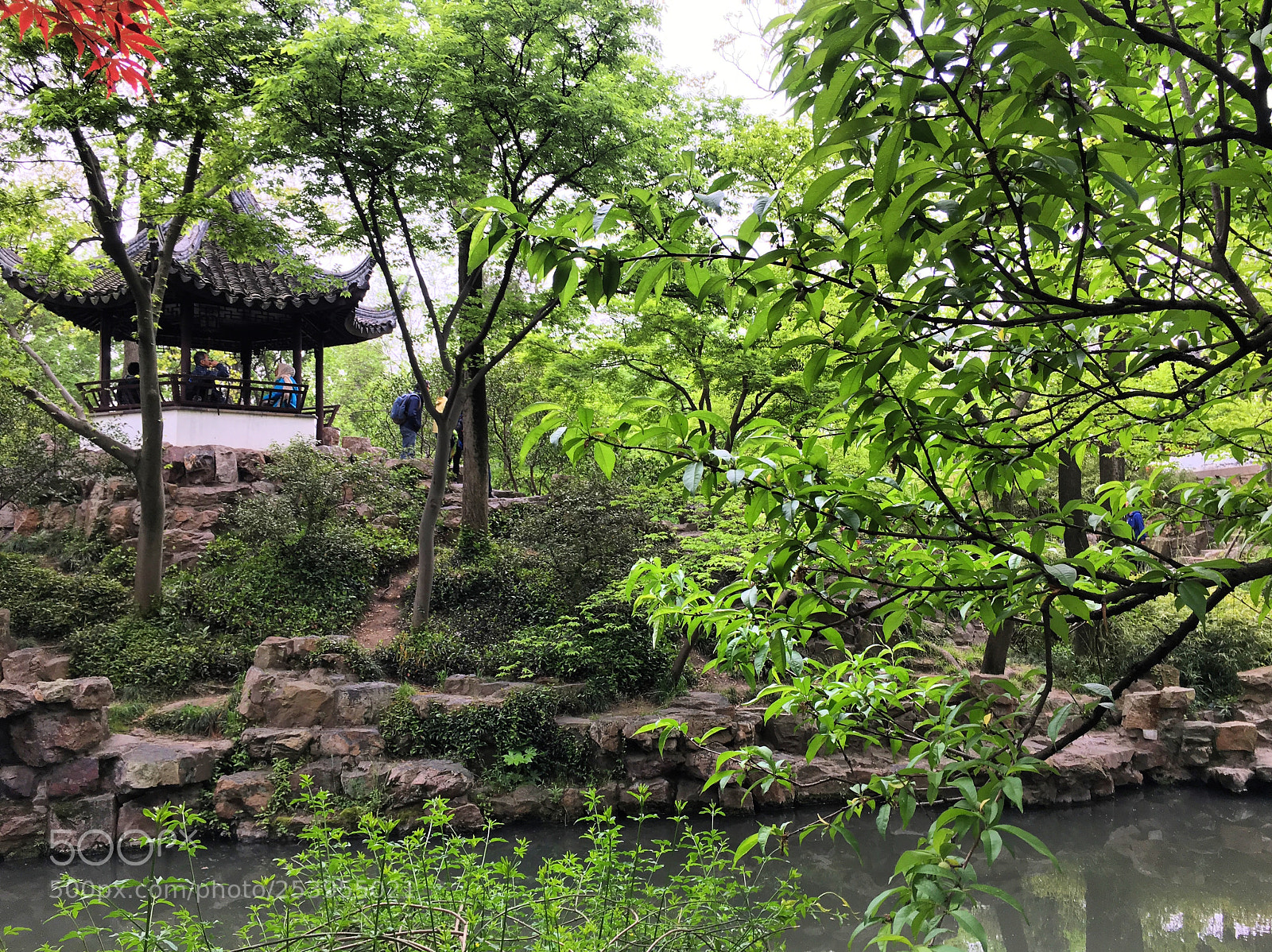 Apple iPhone 6s sample photo. Suzhou zhuozheng park, suzhou photography