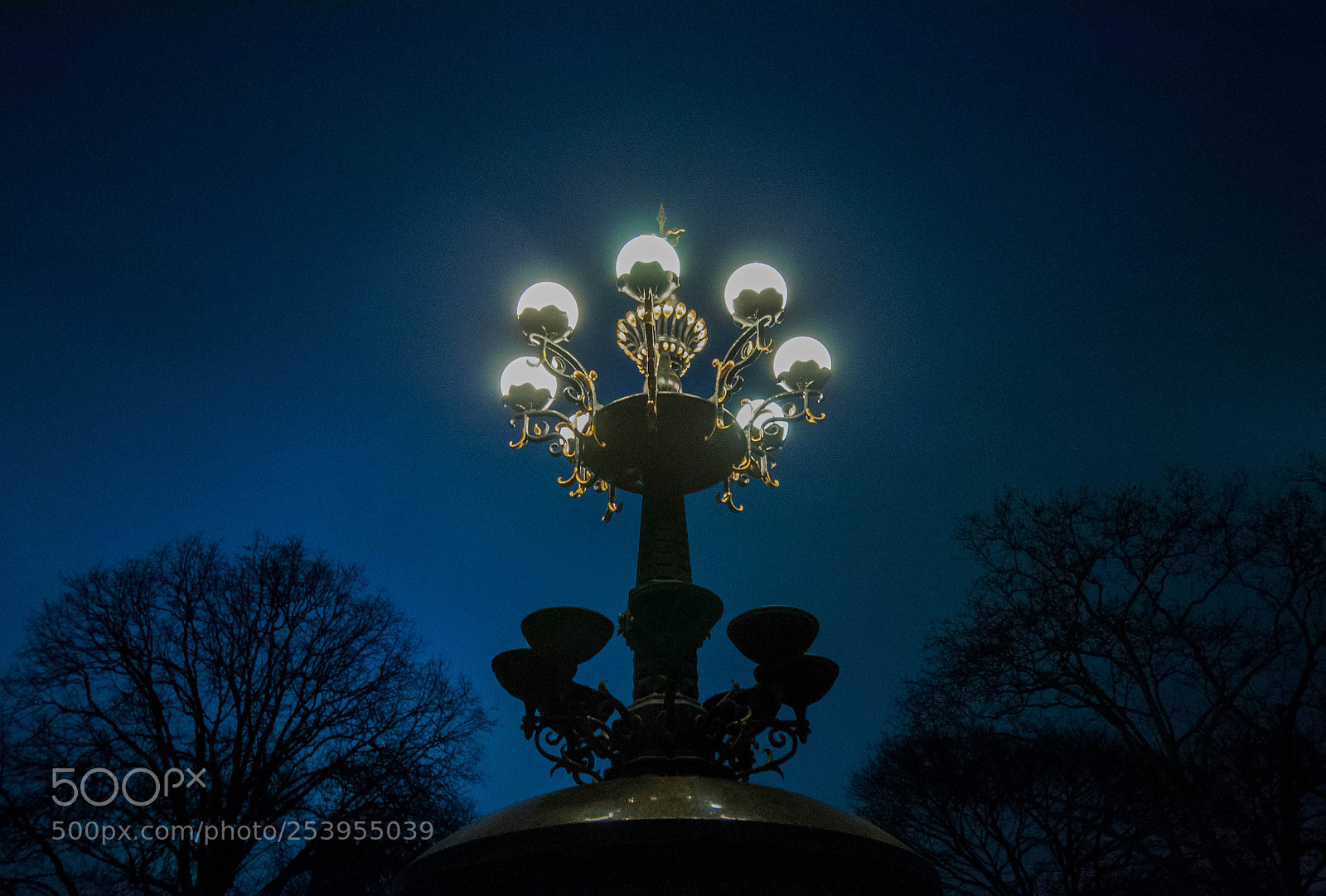 Nikon D90 sample photo. Central park blue lamps photography