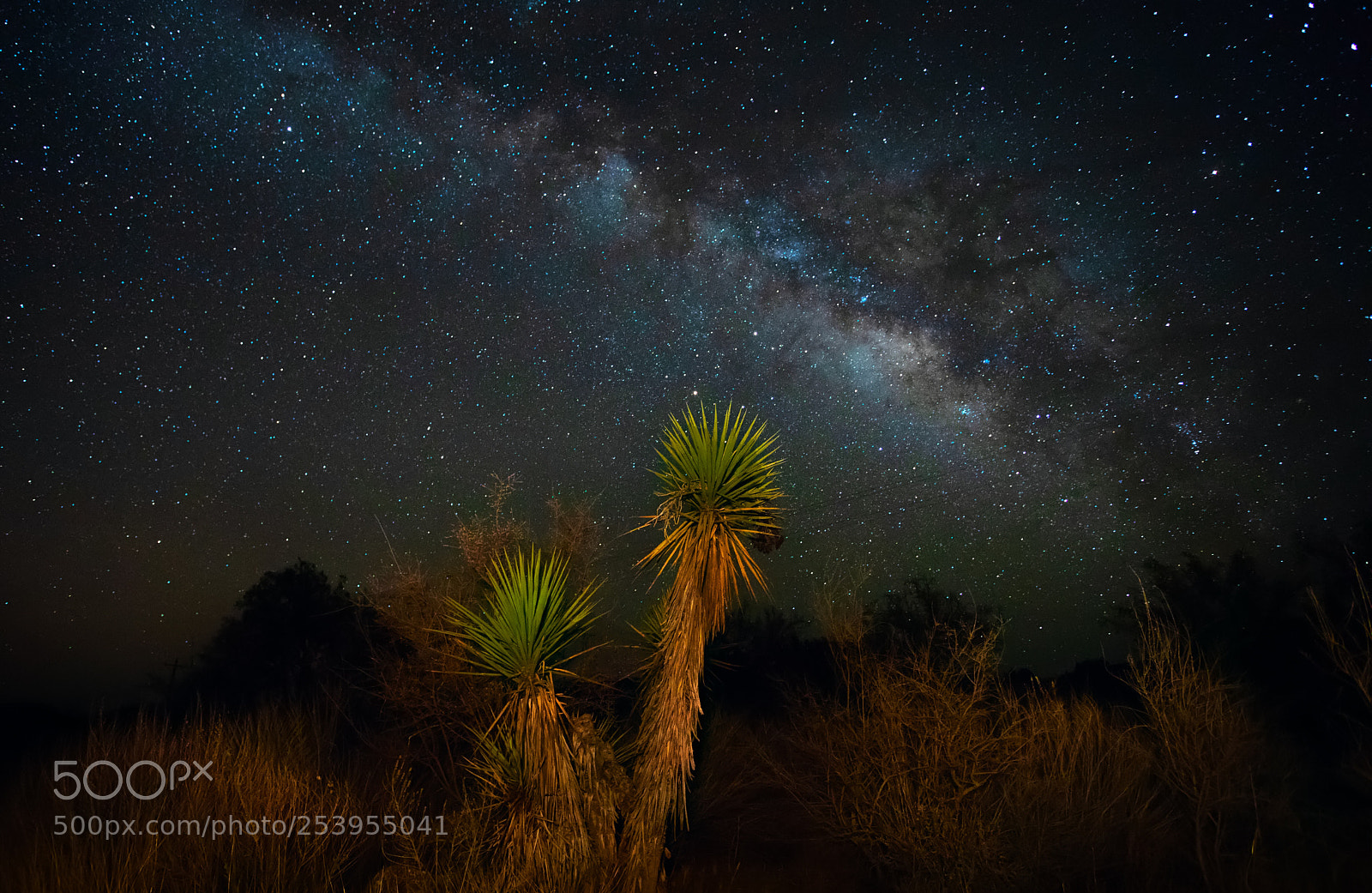 Canon EOS 5D Mark IV sample photo. Desert sky photography