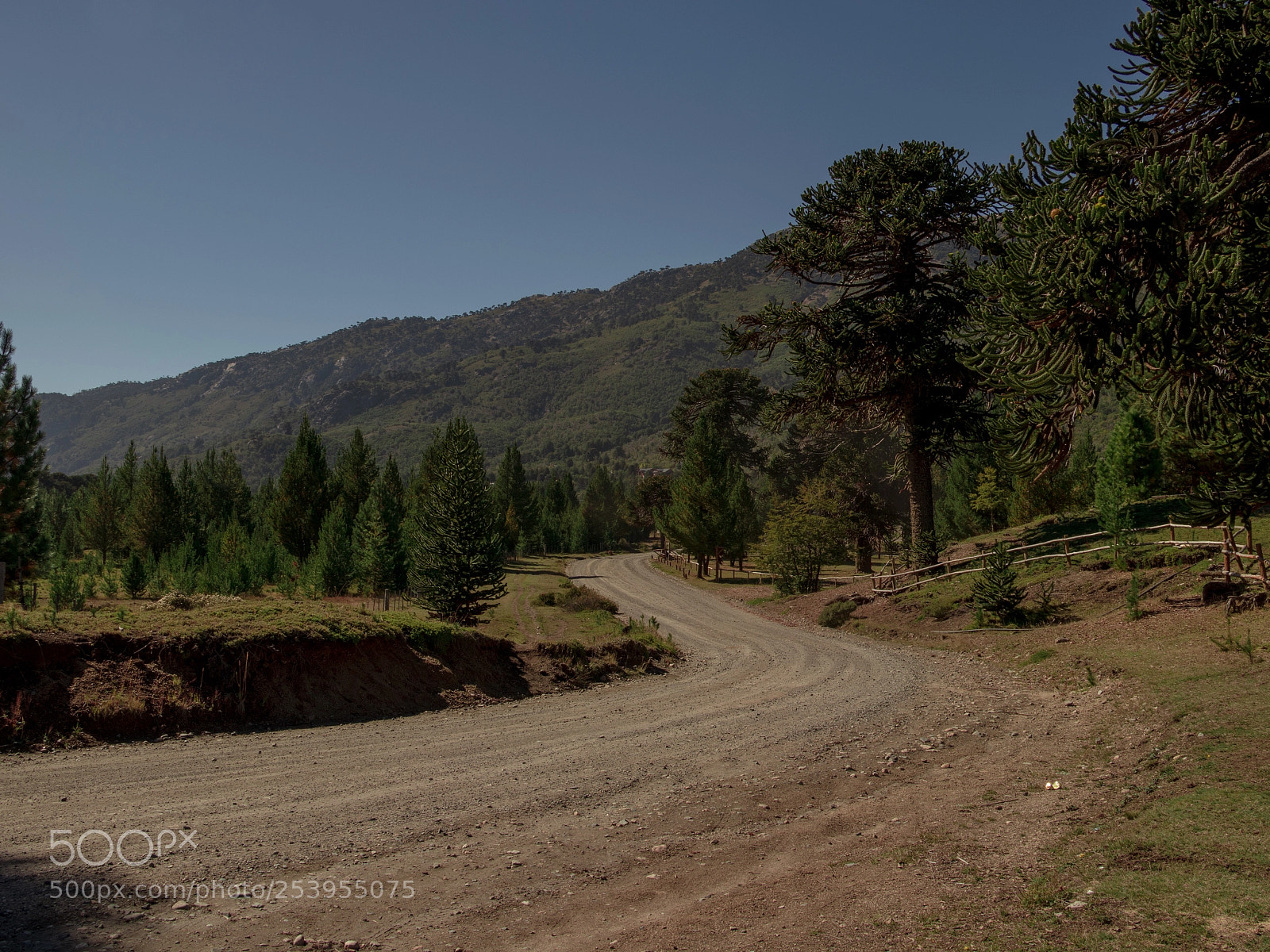 Canon EOS 80D sample photo. Un camino largo que photography