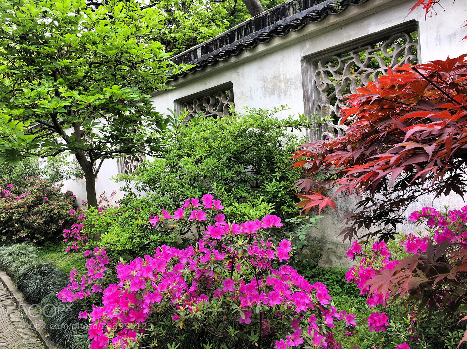 Apple iPhone 6s sample photo. Suzhou zhuozheng park, suzhou photography