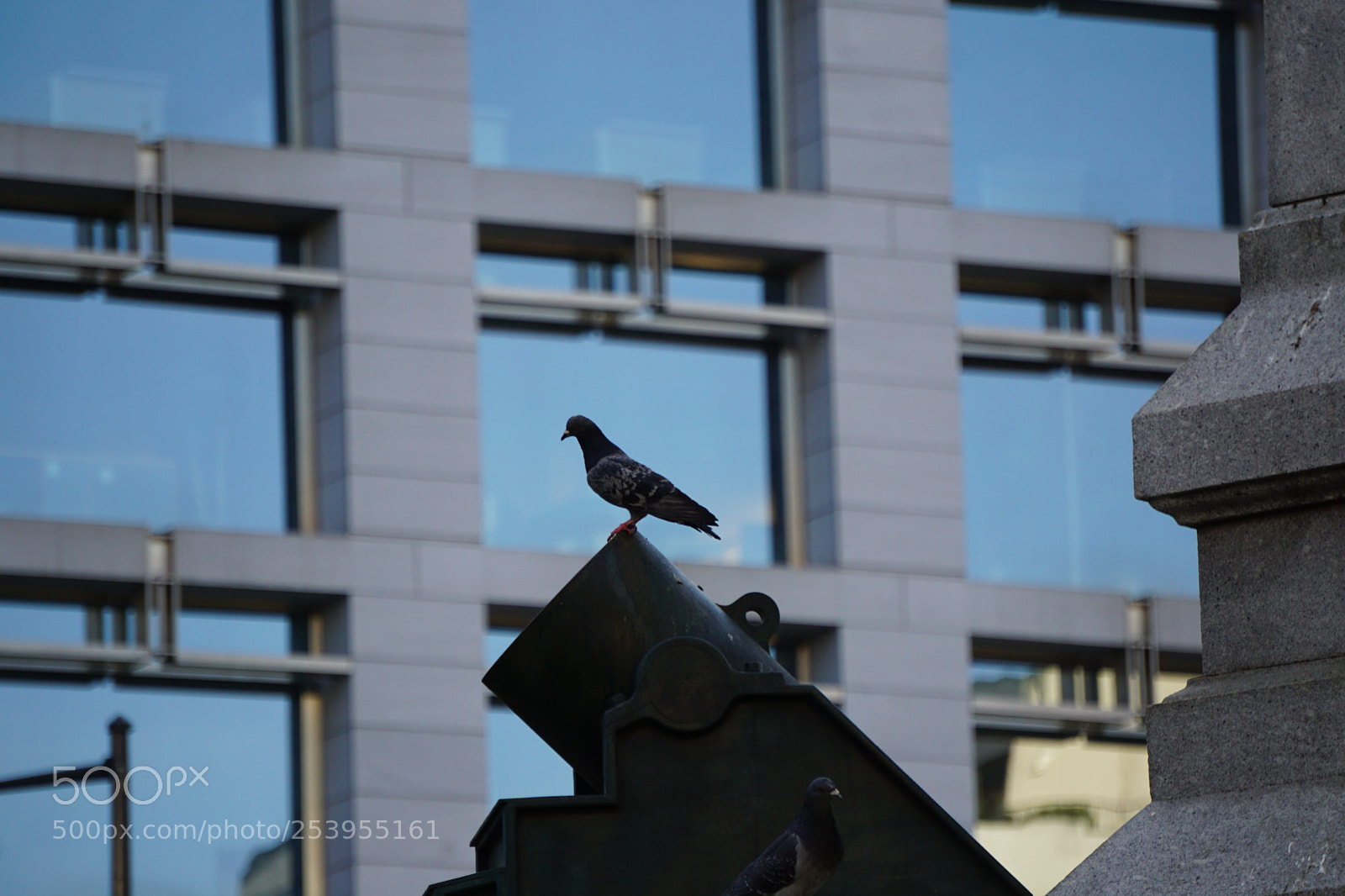Sony a6000 sample photo. Perched on a cannon photography