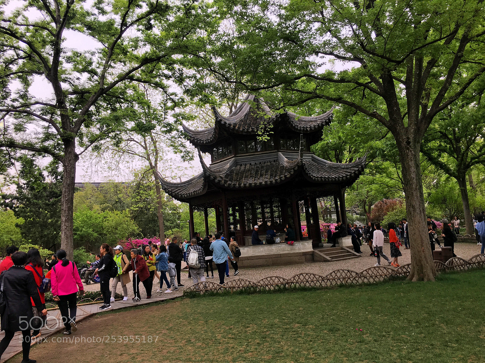 Apple iPhone 6s sample photo. Suzhou zhuozheng park, suzhou photography