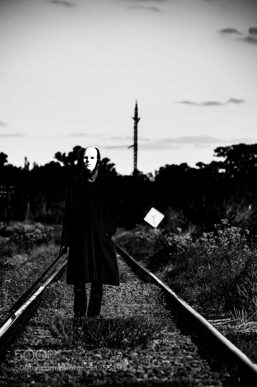 Nikon D3100 sample photo. Jako photography
