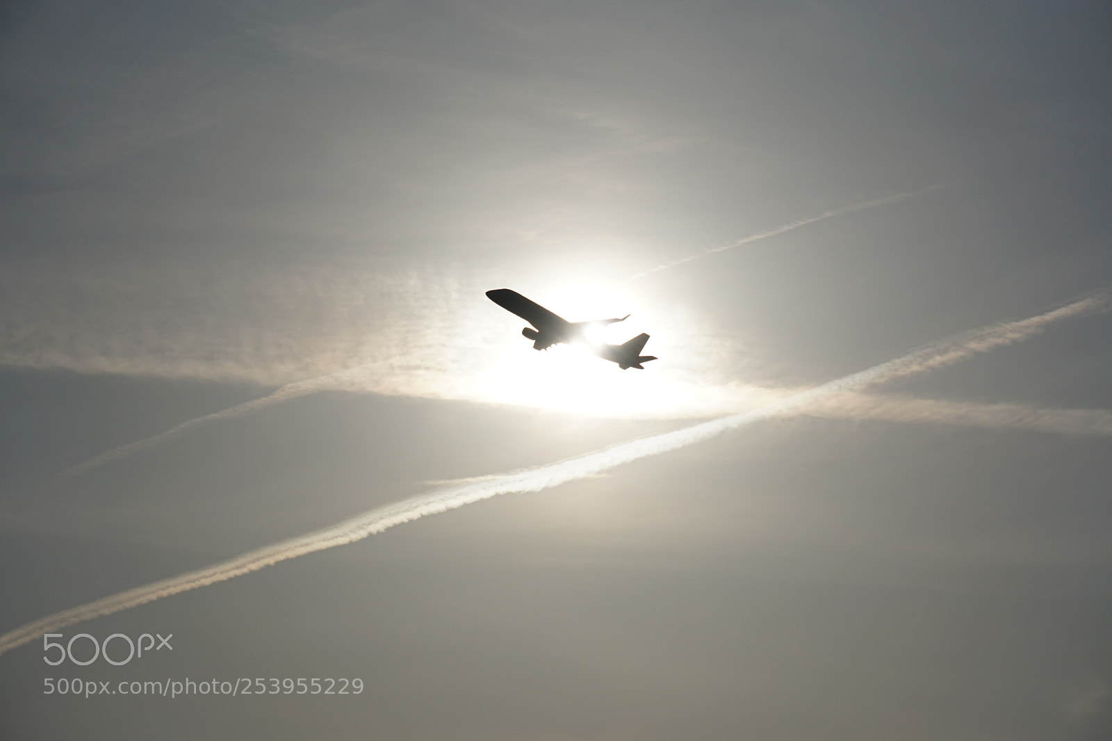 Sony a6000 sample photo. Glimmering in the sun photography