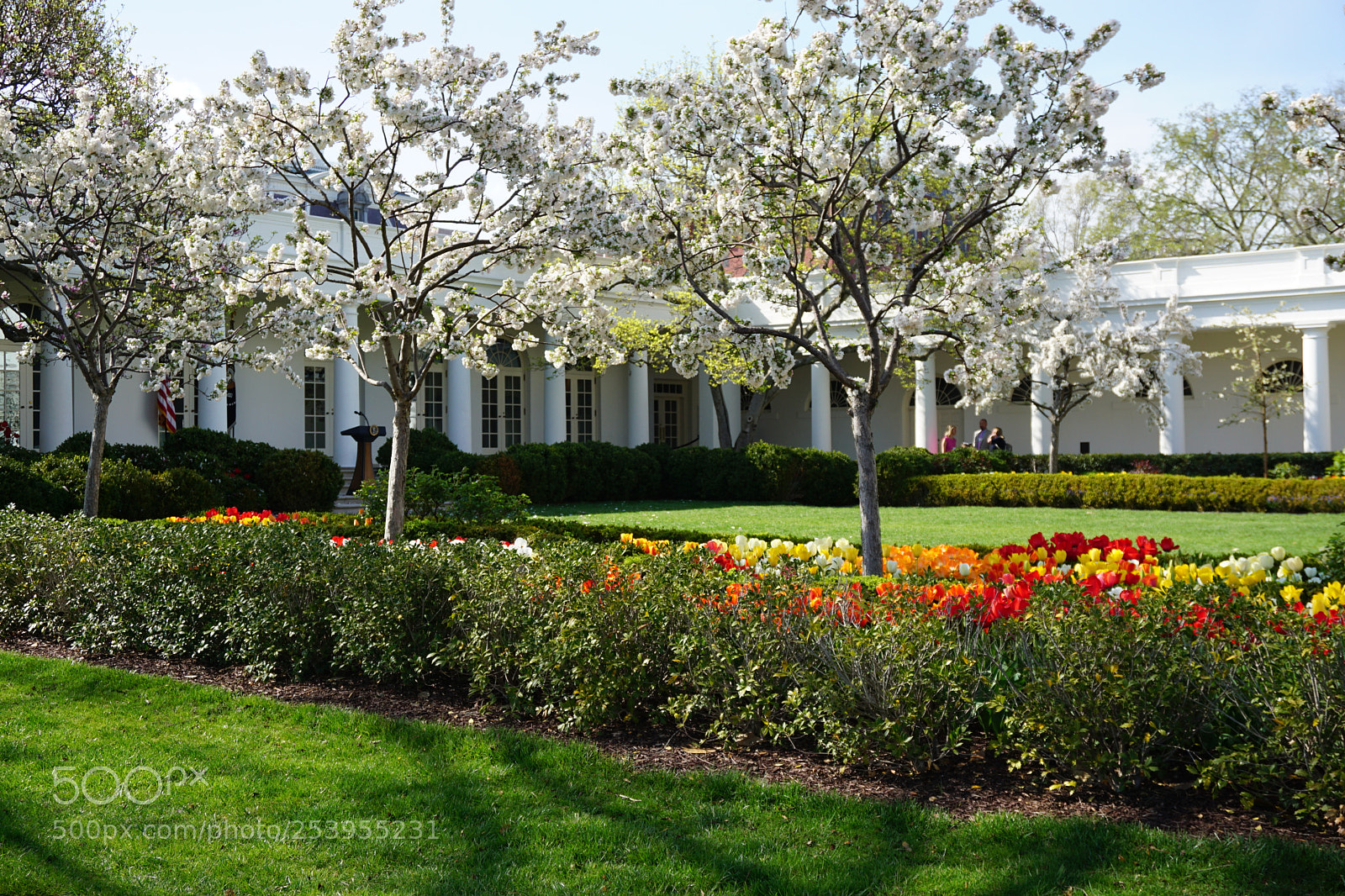 Sony a6000 sample photo. White house lawn photography