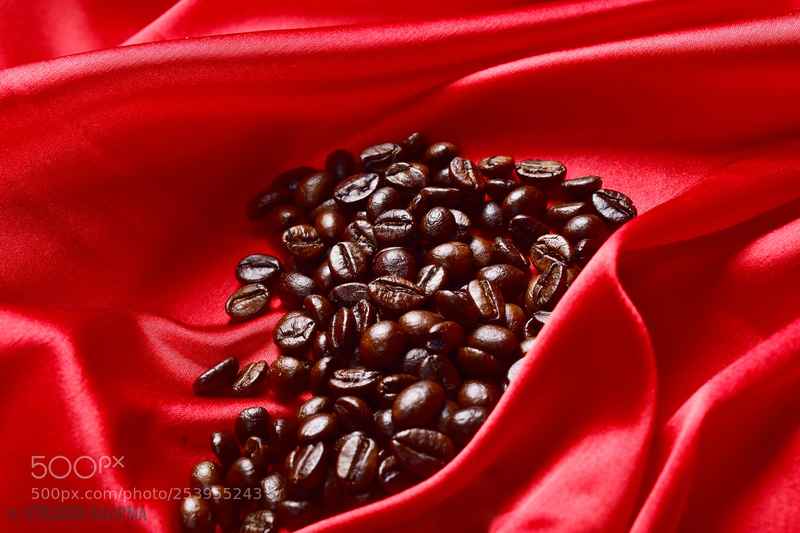 Nikon D5500 sample photo. Coffee beans on red photography