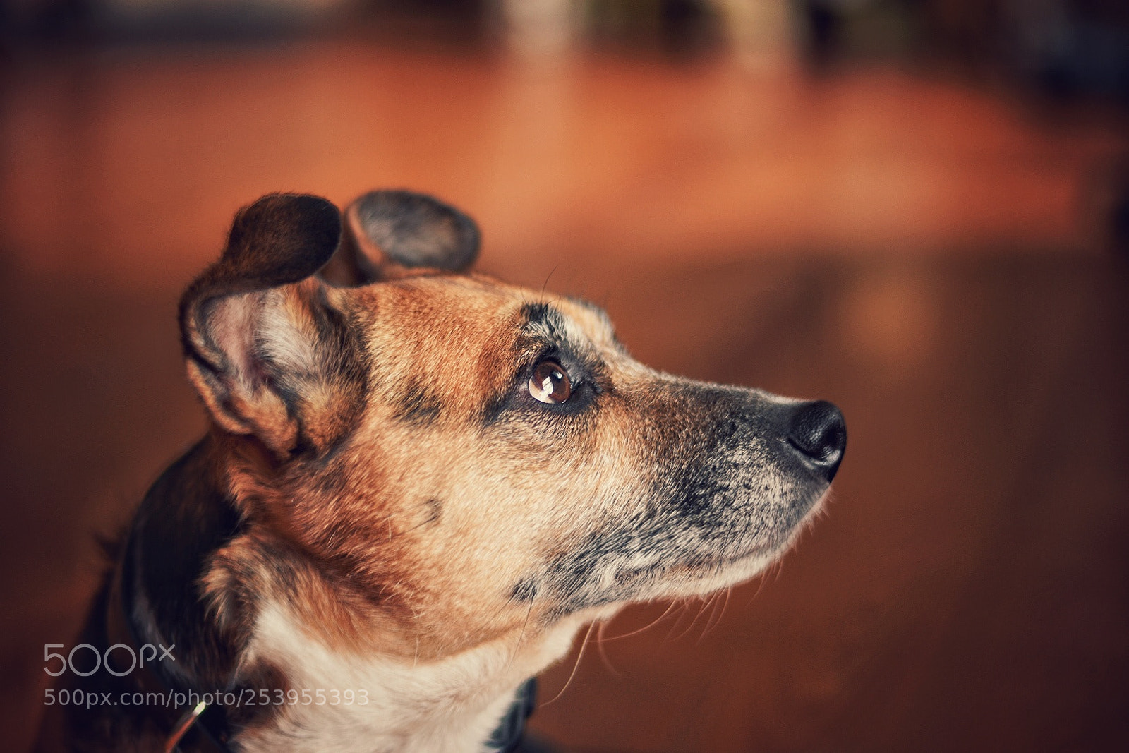 Nikon D3400 sample photo. Clyde photography
