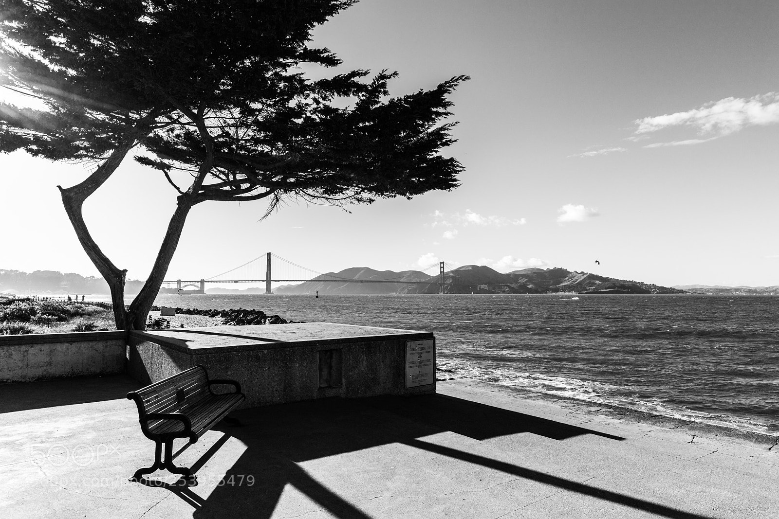 Canon EOS 6D Mark II sample photo. Sketches of san francisco photography