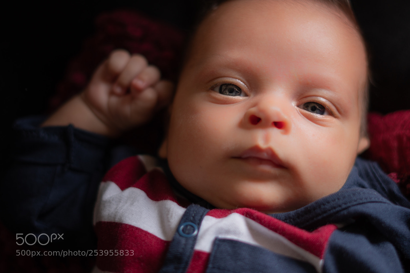 Sony a6300 sample photo. Little boy photography