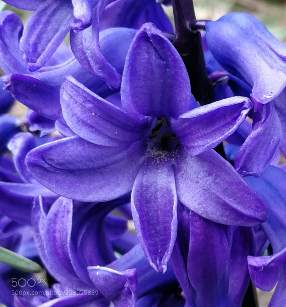 HUAWEI P10 sample photo. Untitled photography