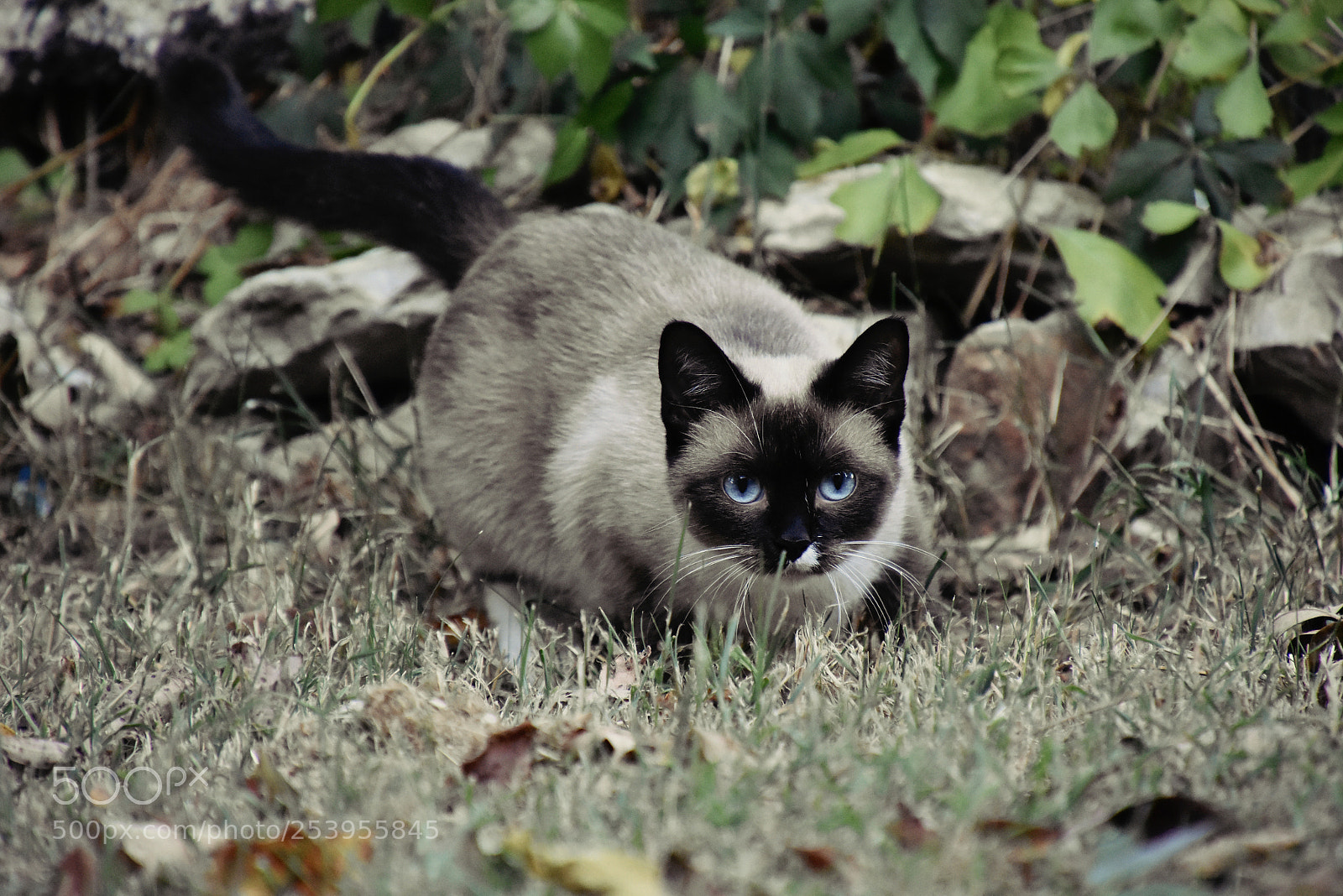 Nikon D3400 sample photo. Dsc photography