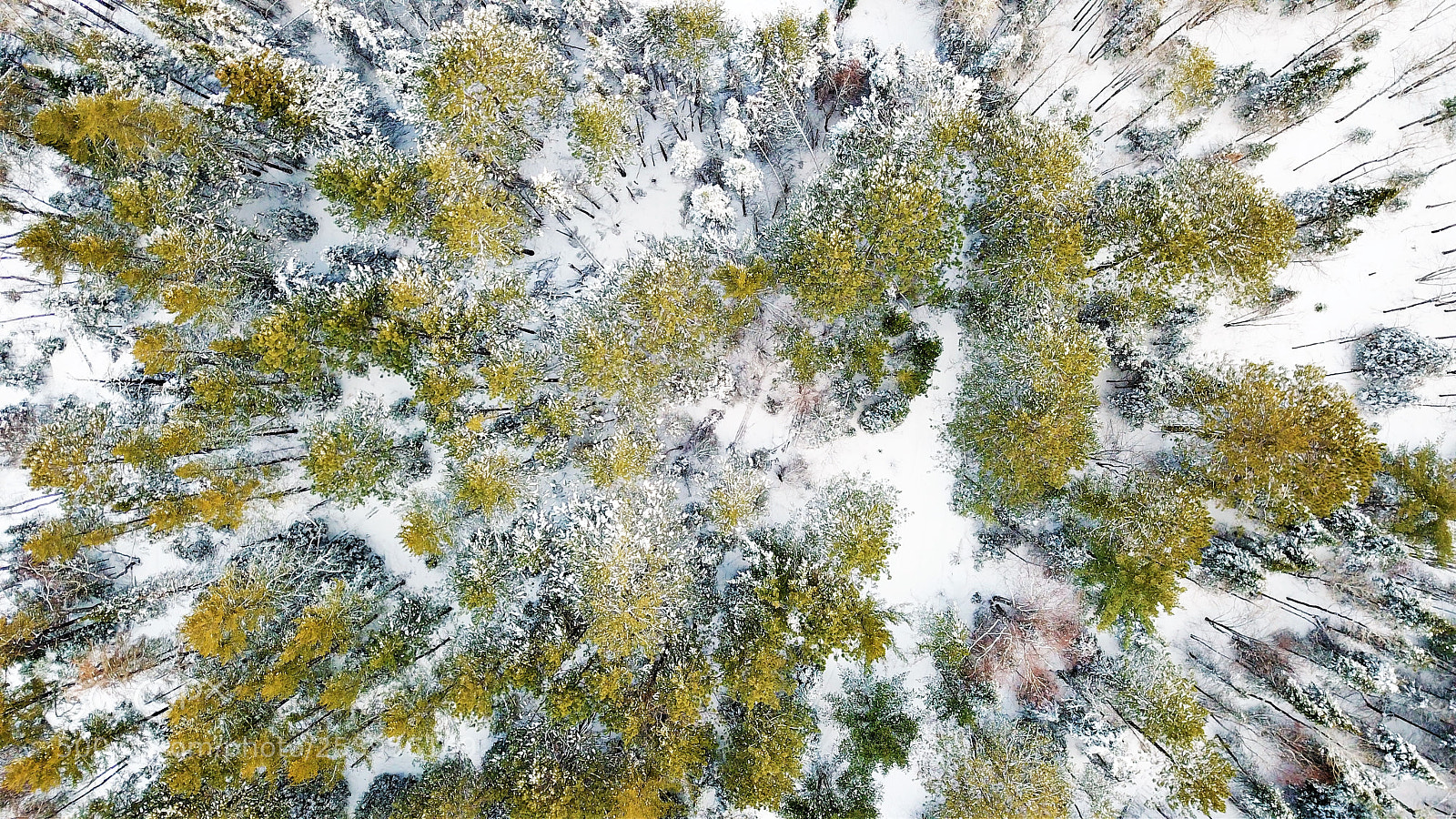 DJI FC220 sample photo. So much for spring photography